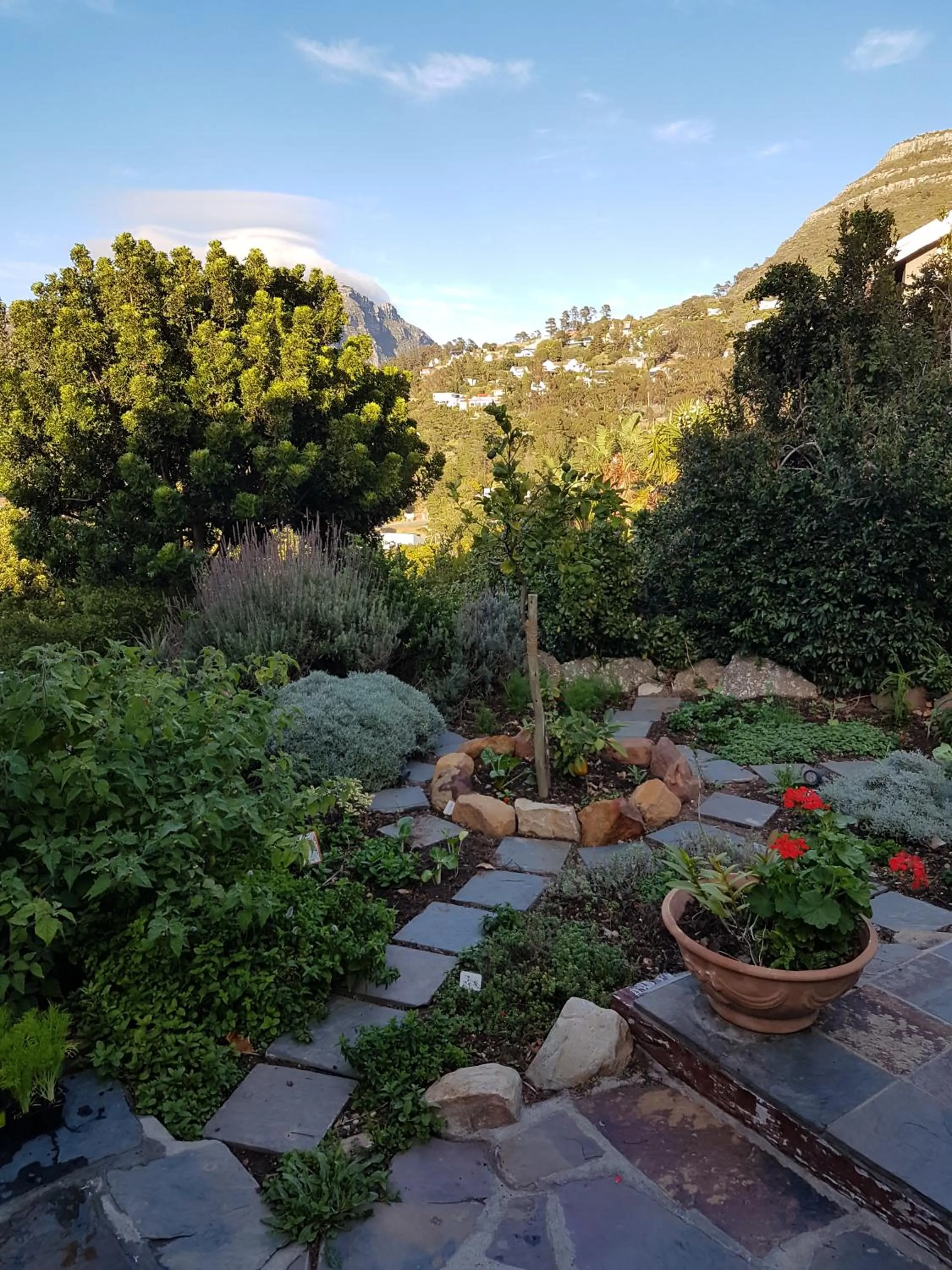Garden view in Victorskloof Lodge