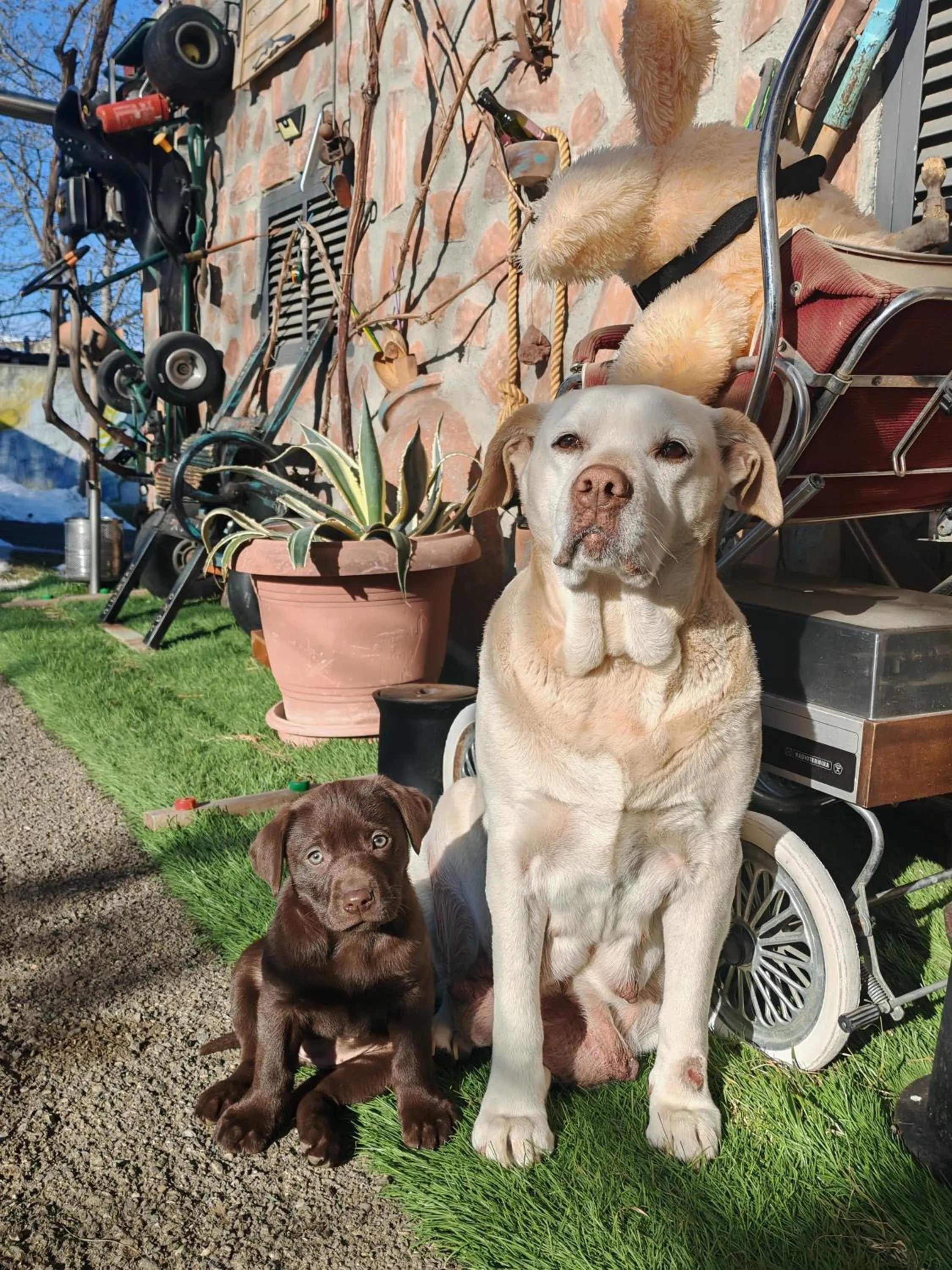 Qilimcha's Guesthouse-Art Museum