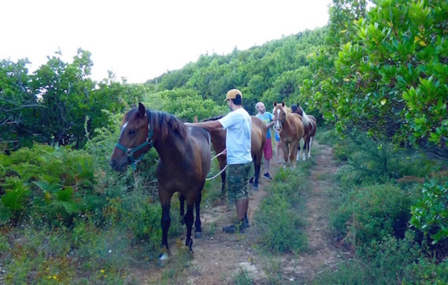 Activities in Arxontiko Mytilineou - Skretaion