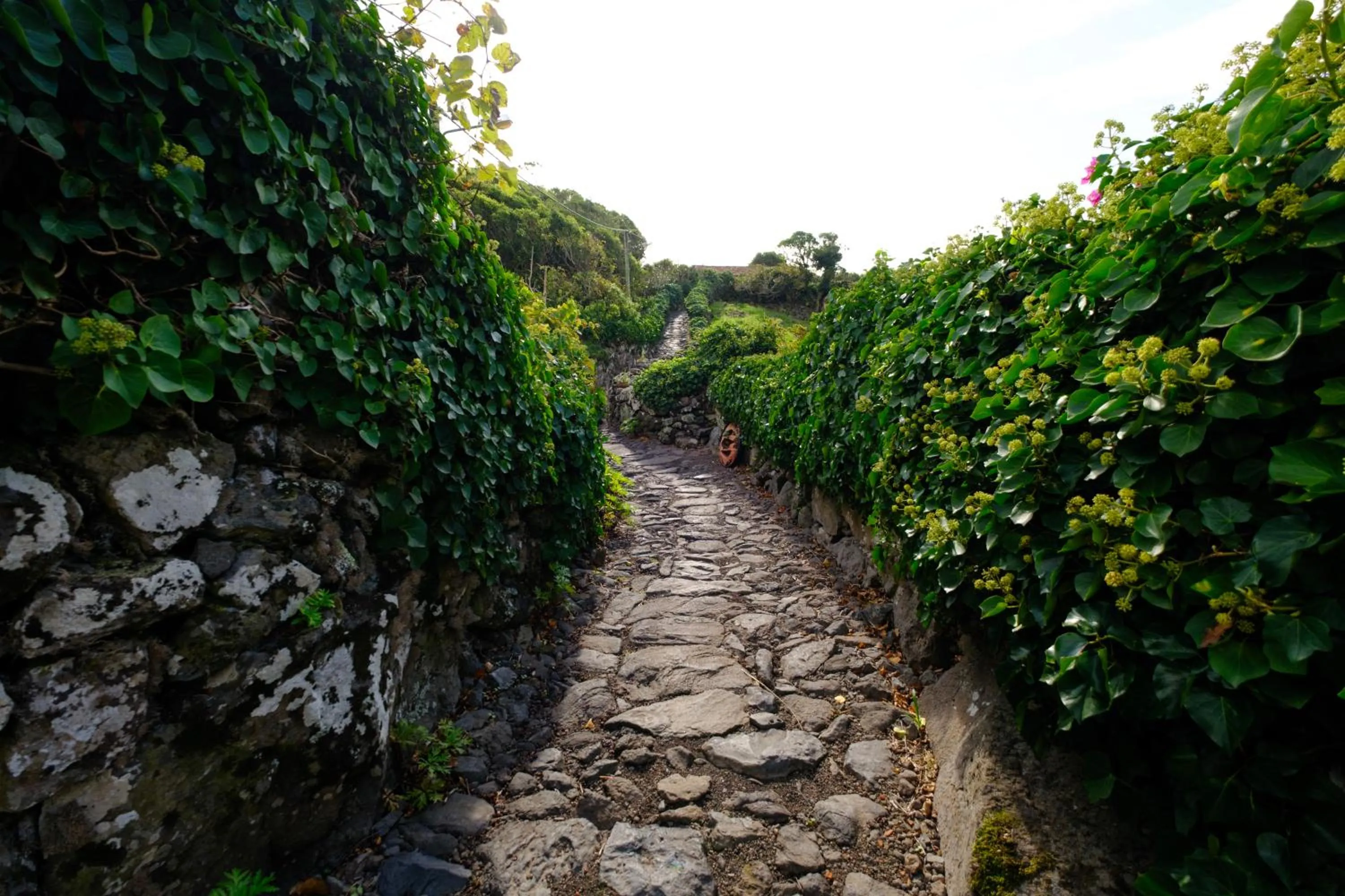 Off site in Aldeia da Cuada