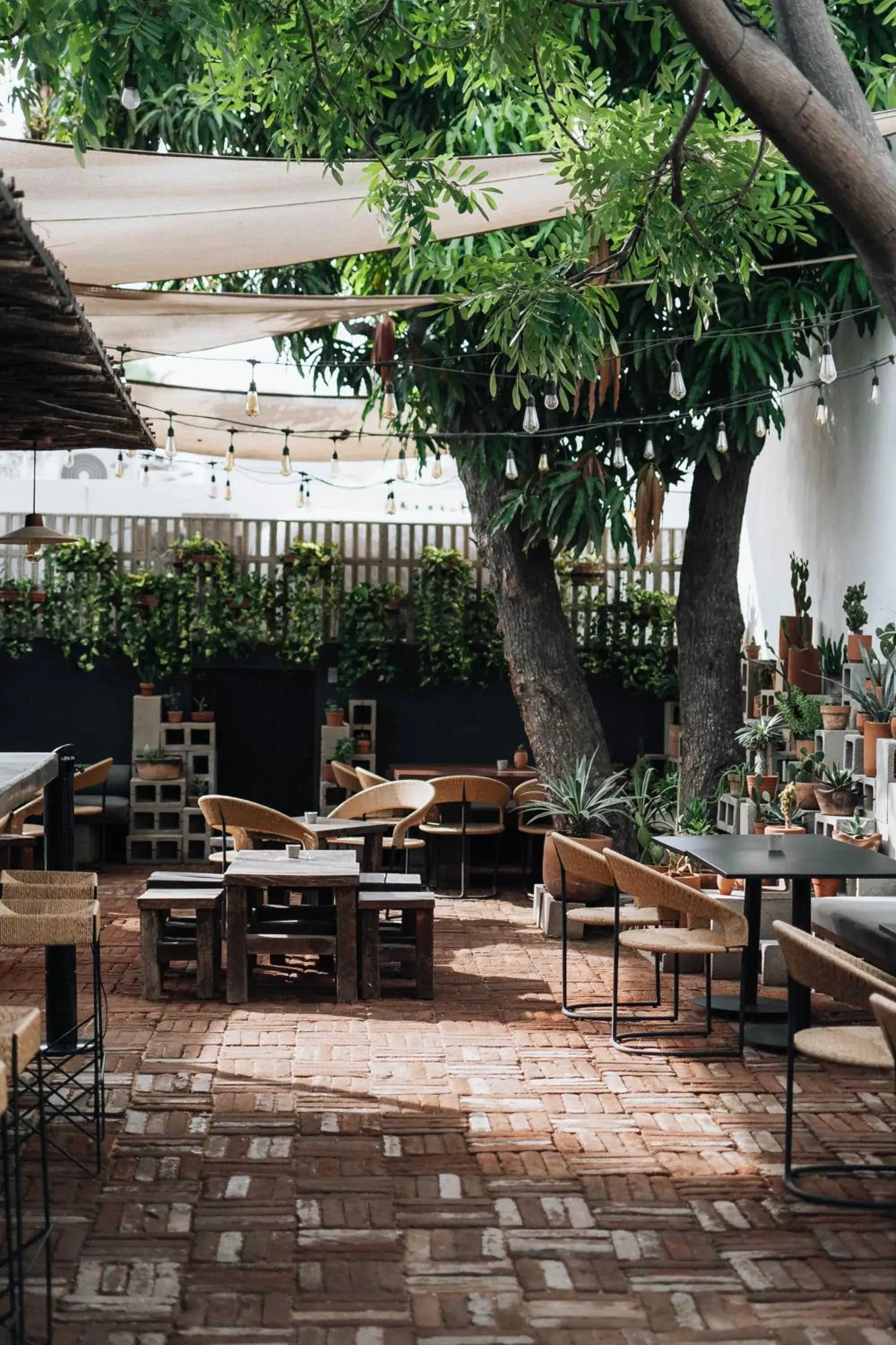 Restaurant/places to eat in Drift San Jose del Cabo, a Member of Design Hotels Restaurant/places to eat in Drift San Jose del Cabo, a Member of Design Hotels