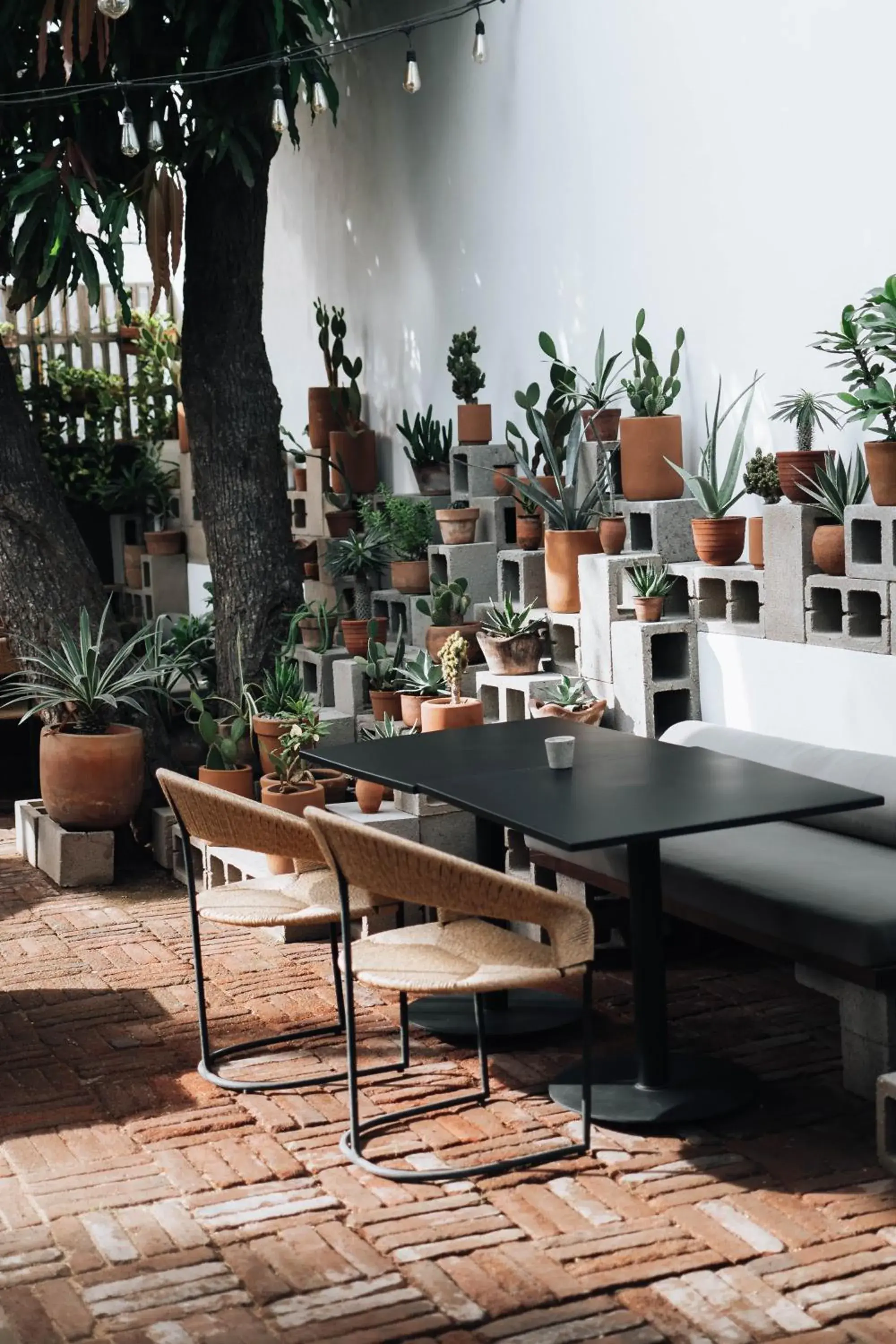 Restaurant/places to eat in Drift San Jose del Cabo, a Member of Design Hotels Restaurant/places to eat in Drift San Jose del Cabo, a Member of Design Hotels