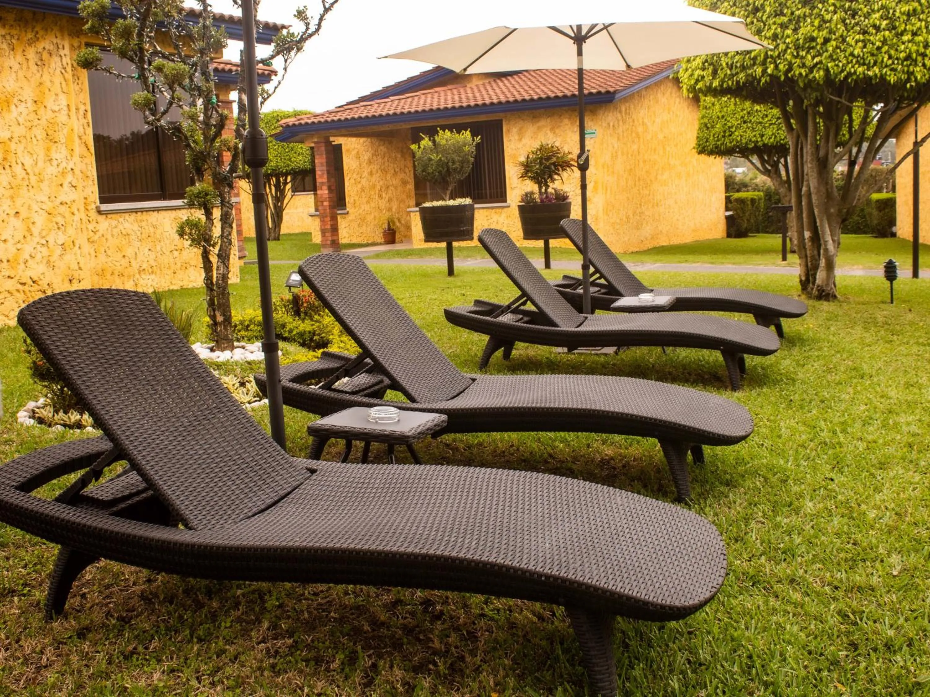 Garden in Villas Layfer, Córdoba, Veracruz, Mexico