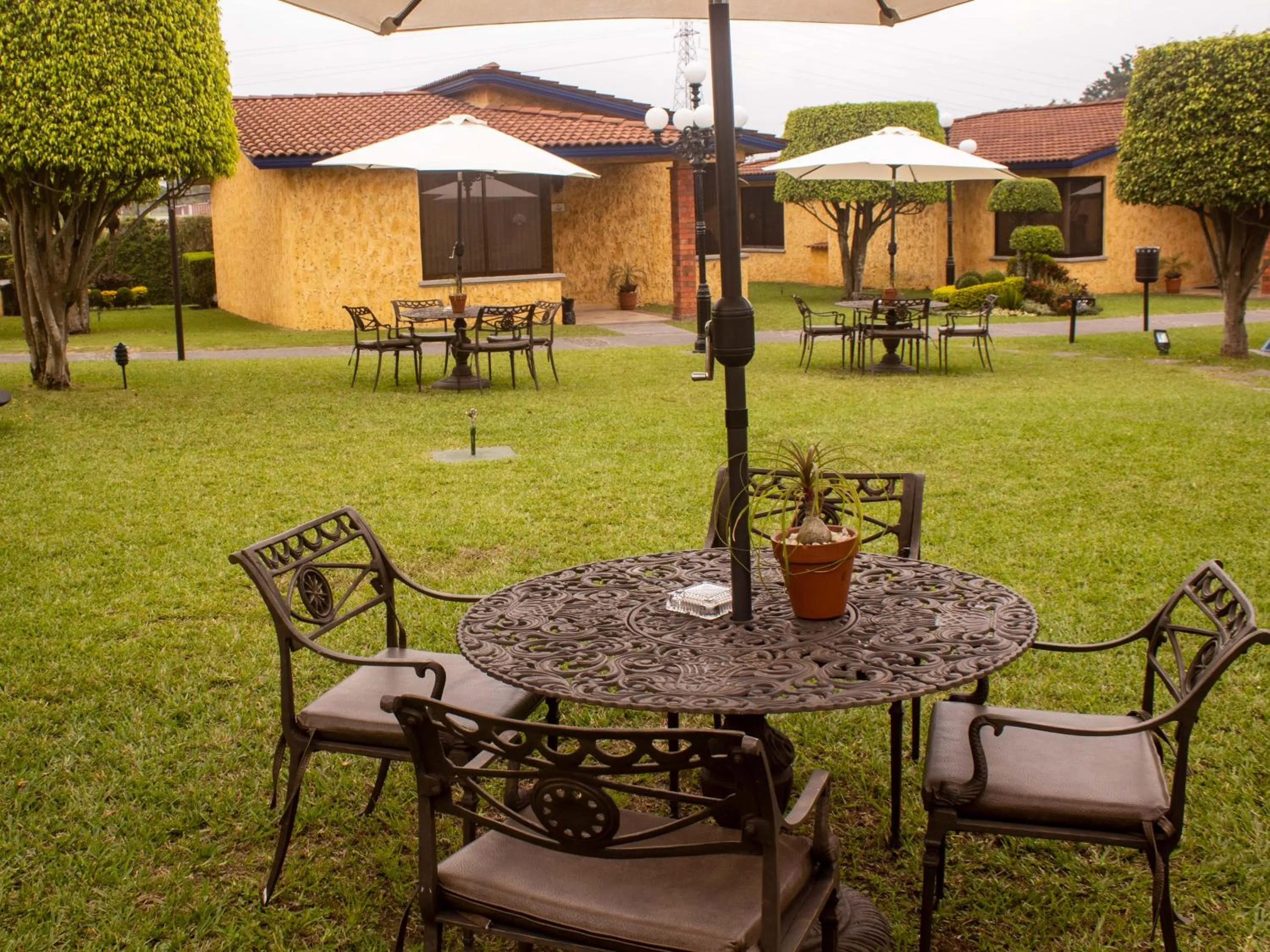 Garden in Villas Layfer, Córdoba, Veracruz, Mexico