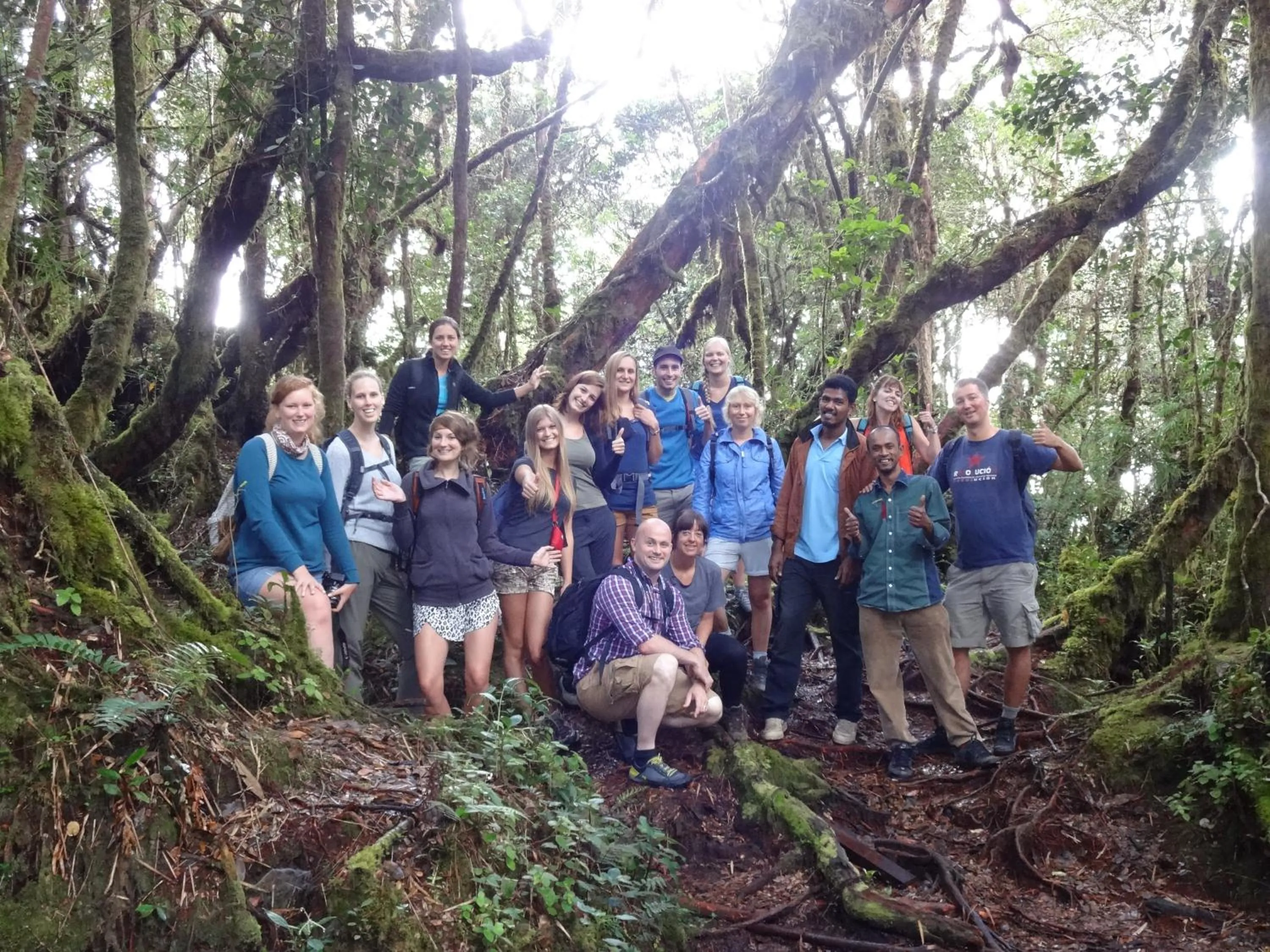 Property building in Orchid Haven