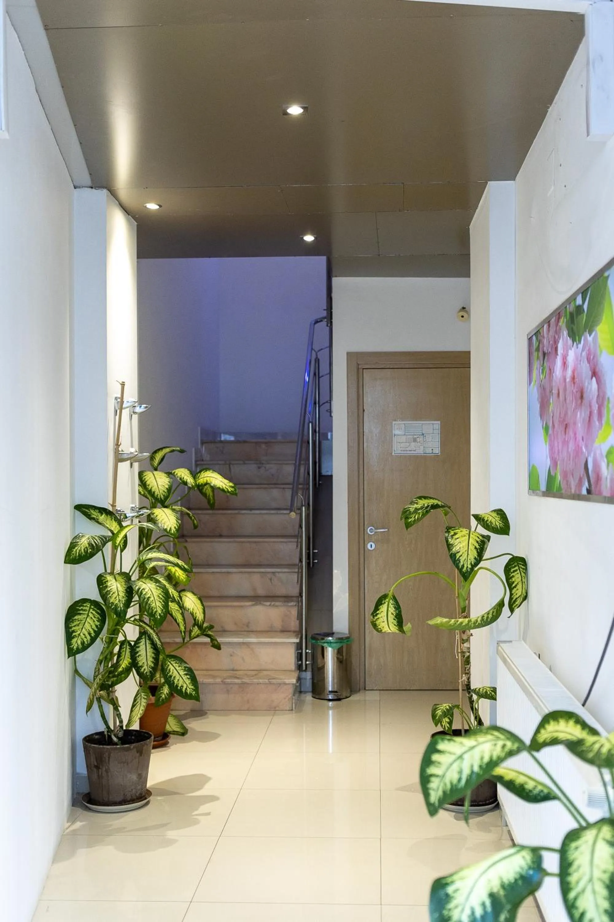 Property building in Hotel Christina Plus