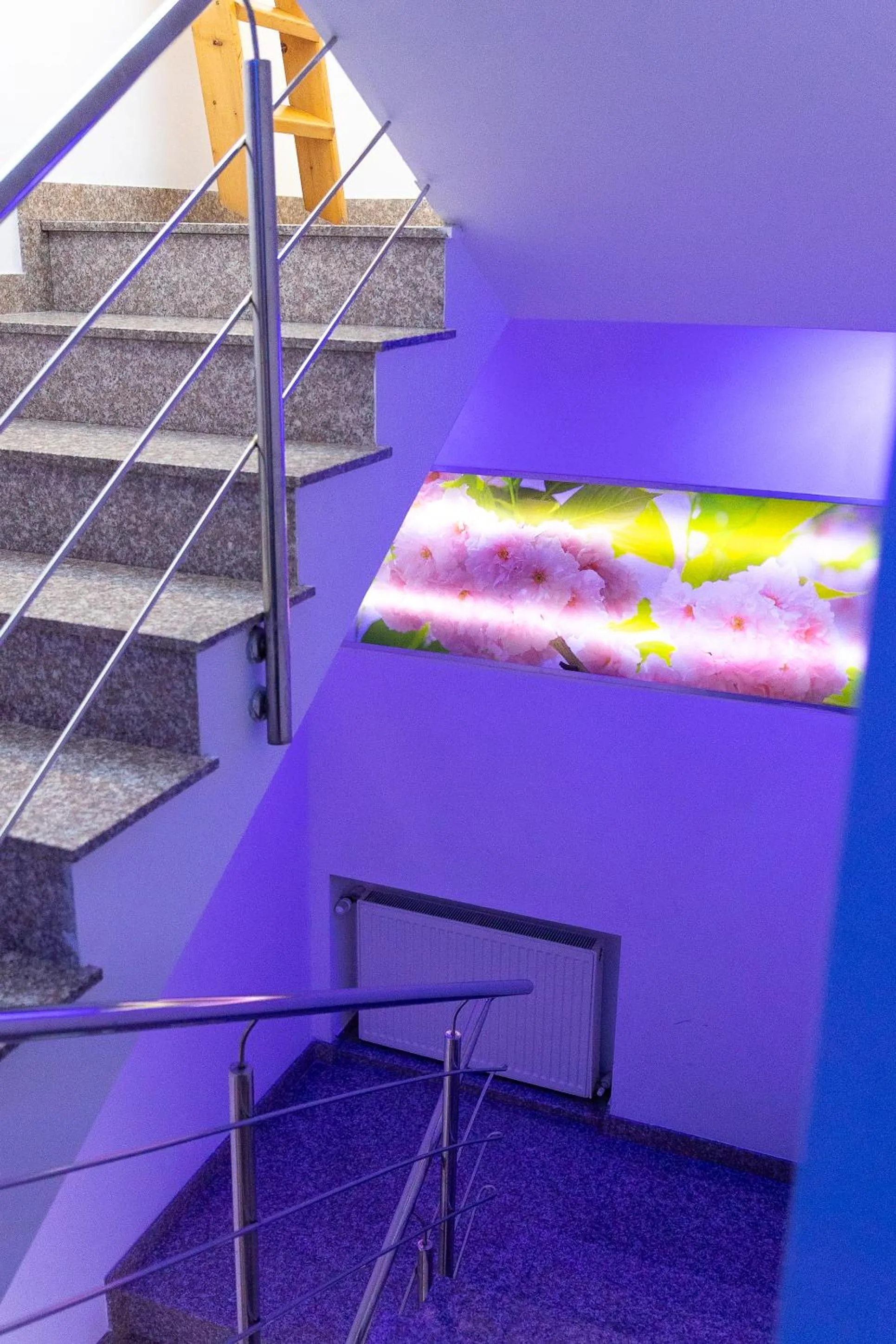 Property building in Hotel Christina Plus