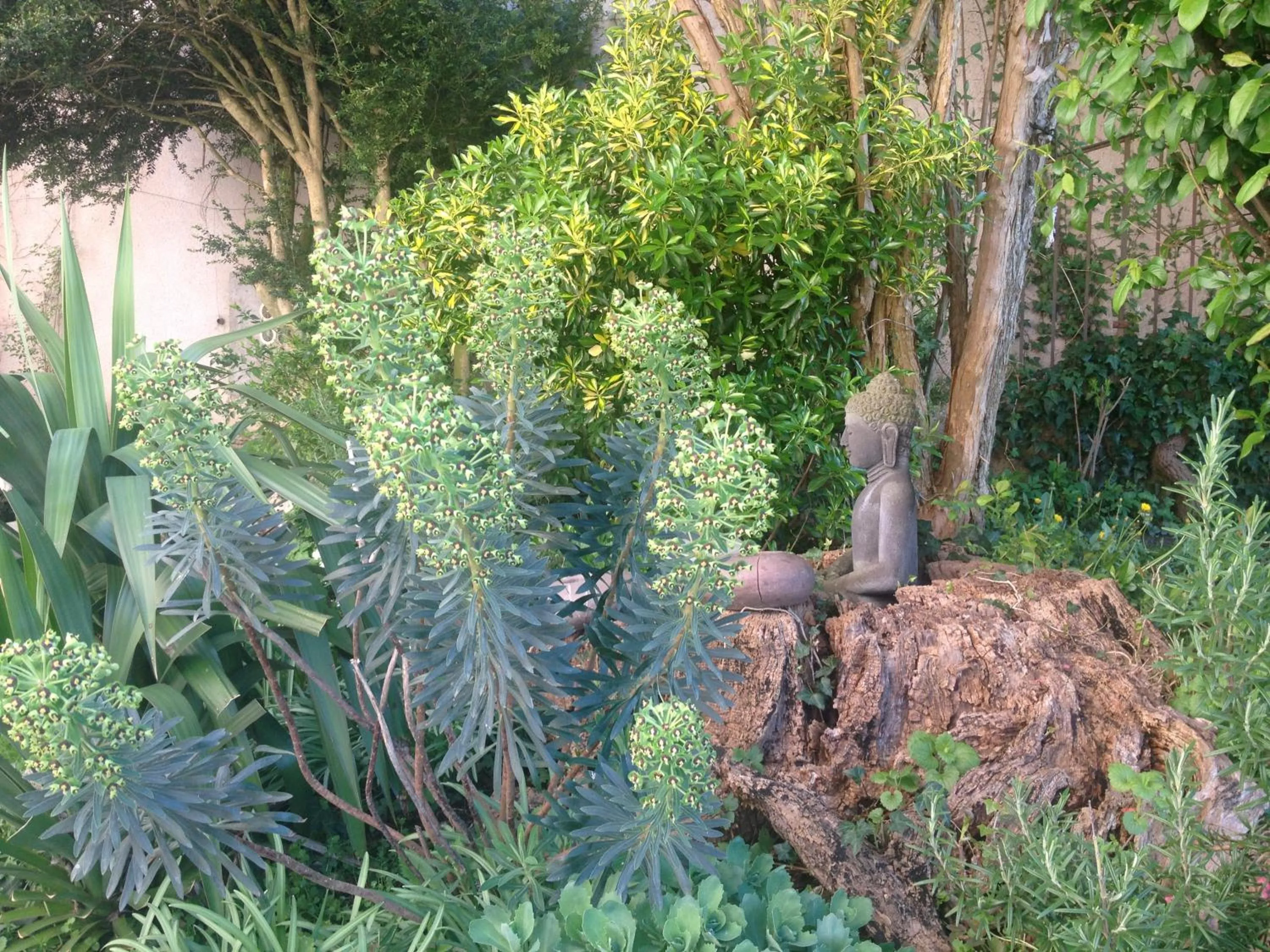 Garden in La Maison Févret