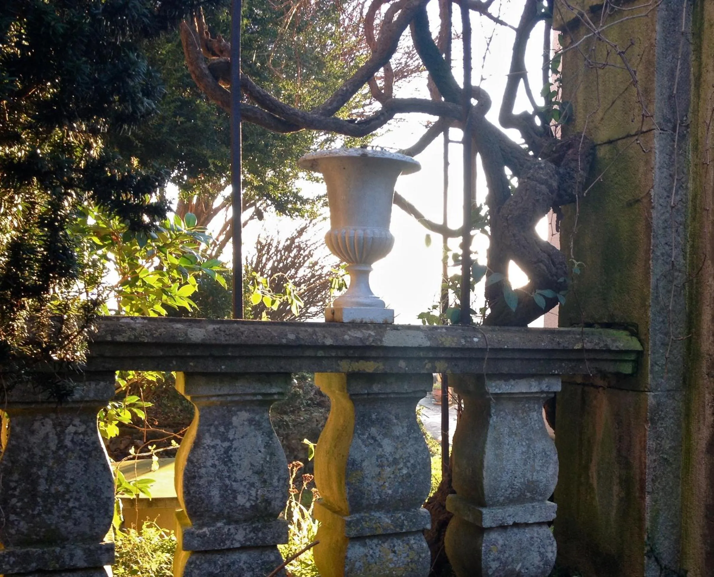 Garden in La Maison Févret
