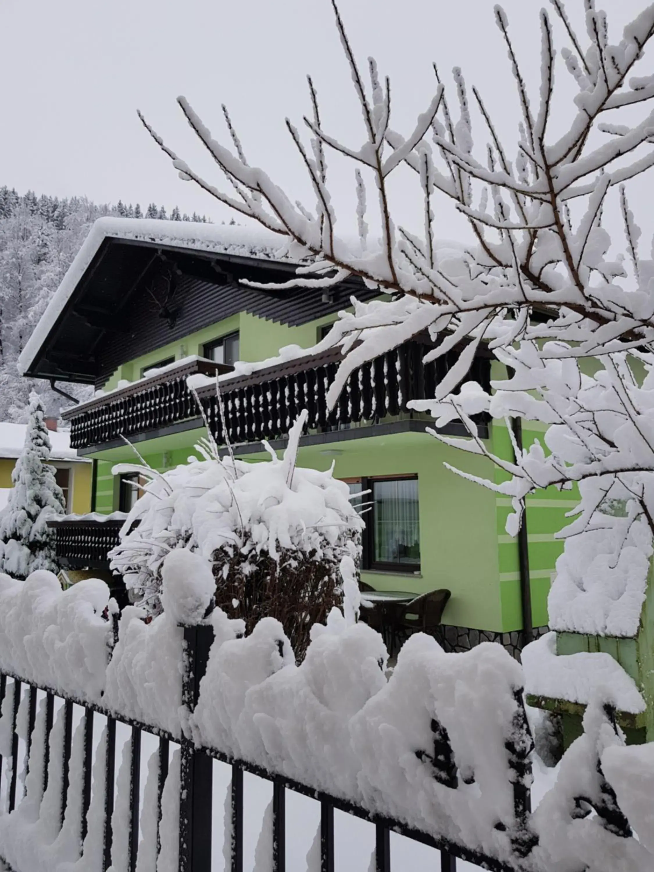 Zeleni apartma Zreče Zeleni apartma Zreče