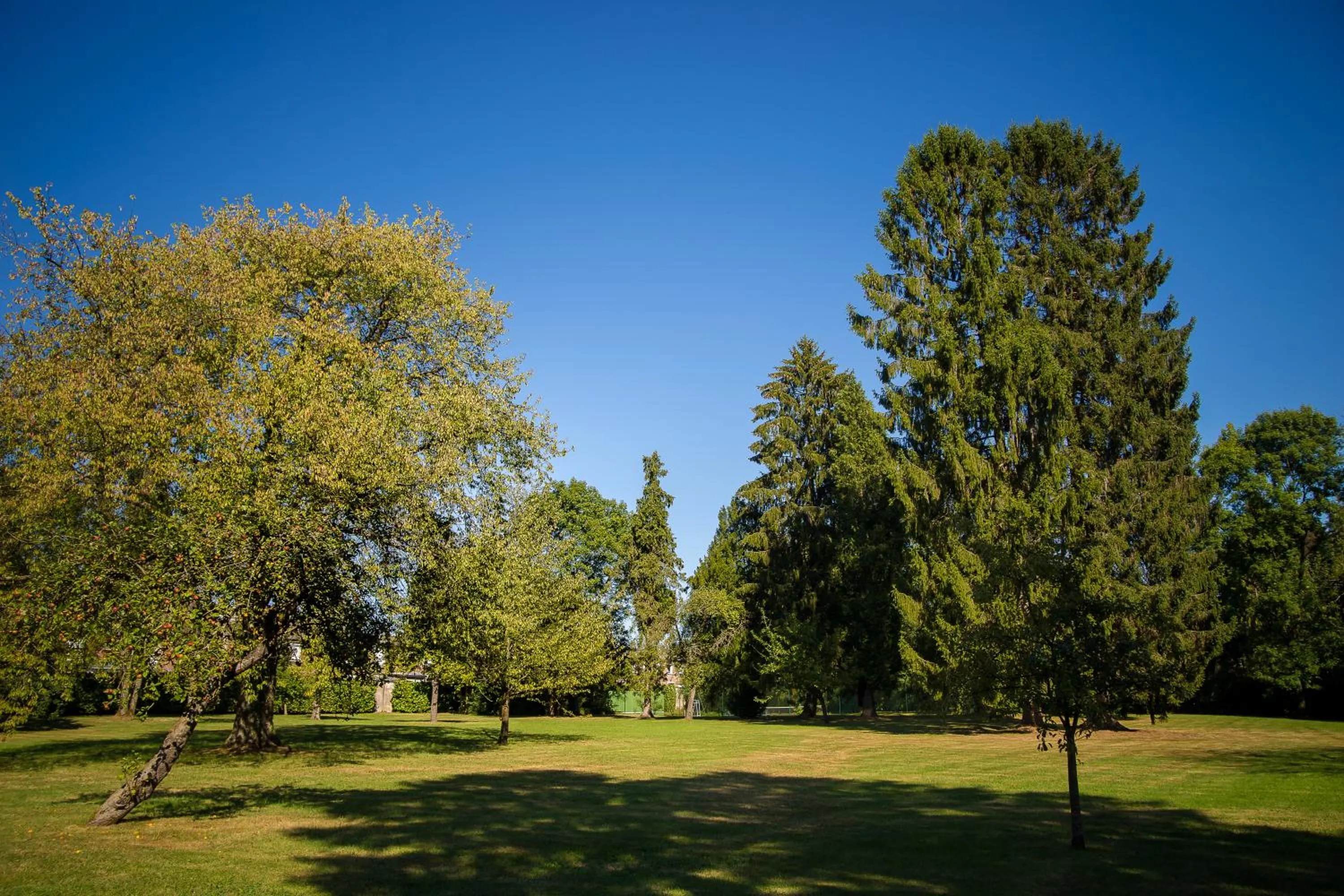 Garden in Hôtel Château de la Marlière