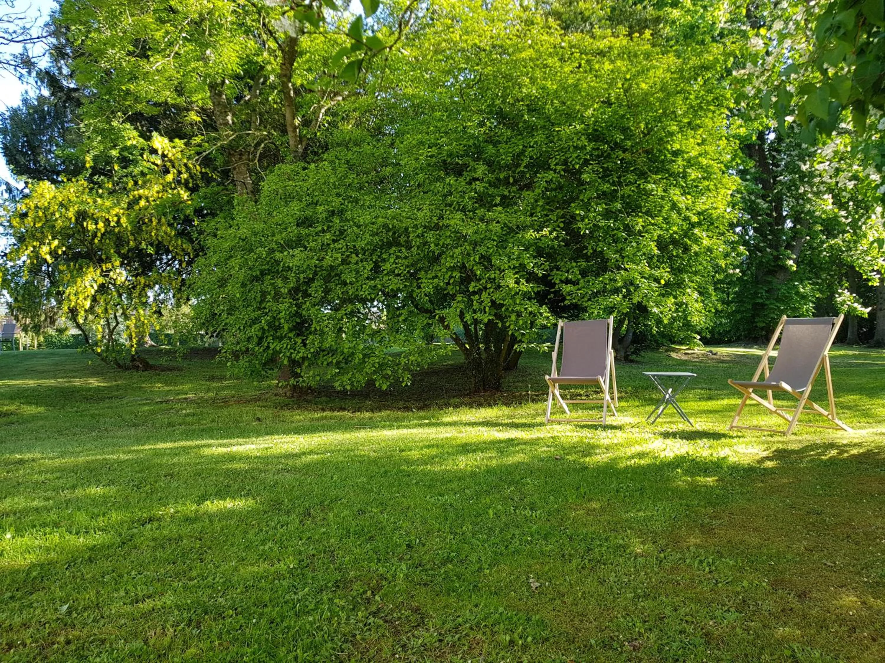 sunbed in Hôtel Château de la Marlière