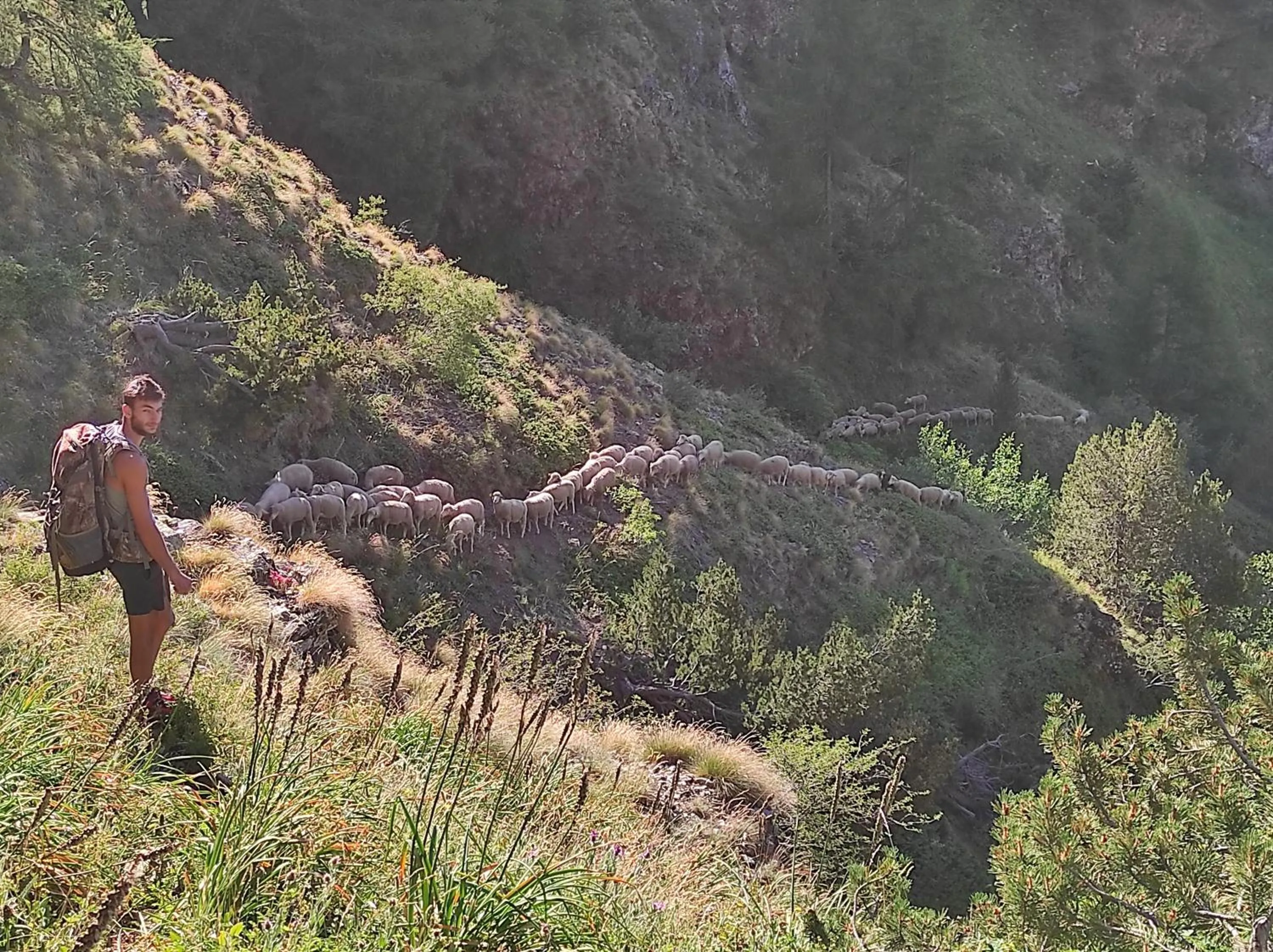Natural landscape in Les Clarines Perceneige - Chambre d'Hôtes Vue Sur Montagne & SPA