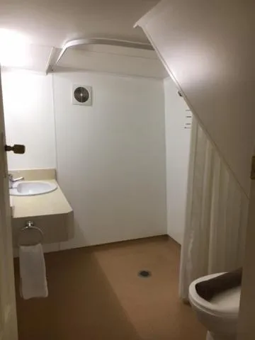 Toilet in Woodlyn Park Motel