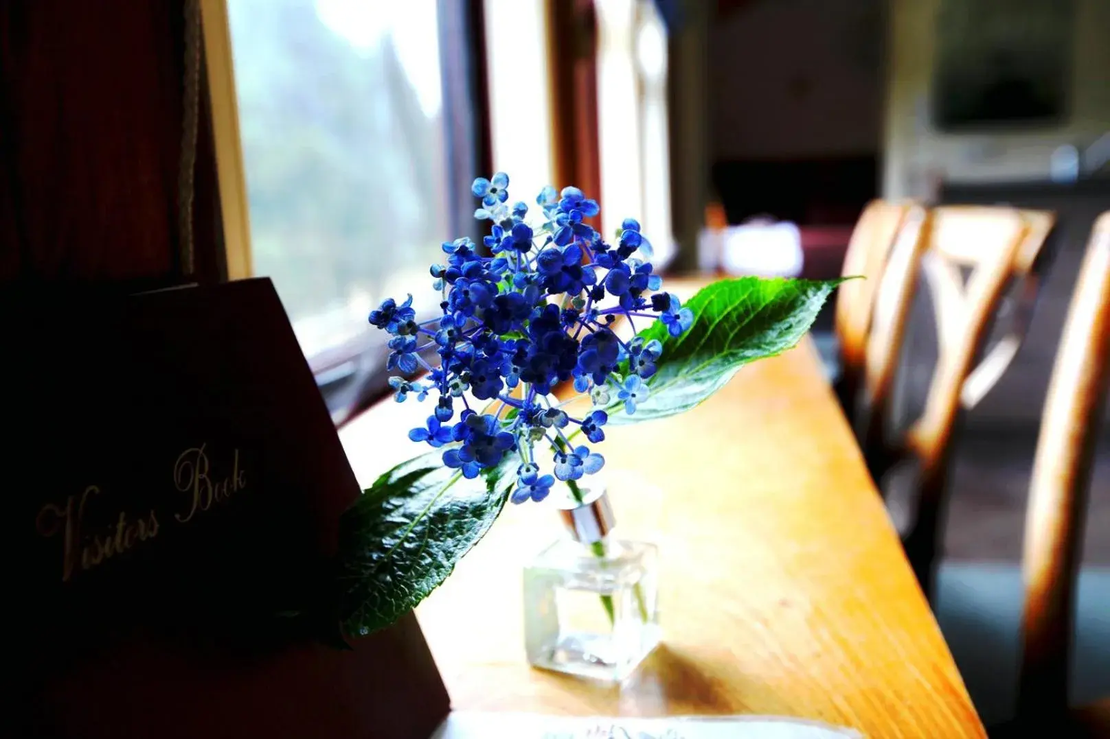 Train unit in Woodlyn Park Motel Train unit in Woodlyn Park Motel