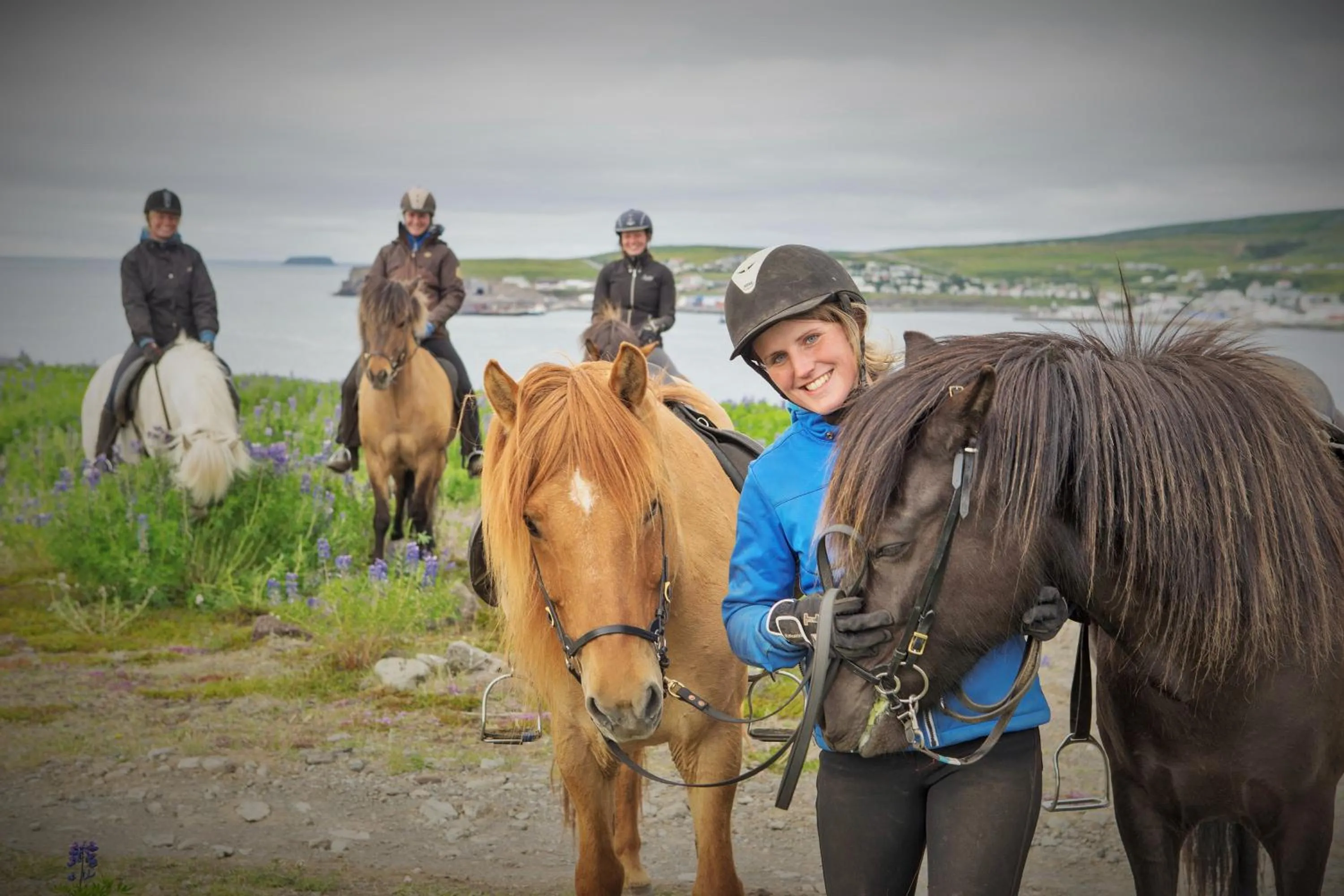 Horse-riding in Saltvík Farm Guesthouse