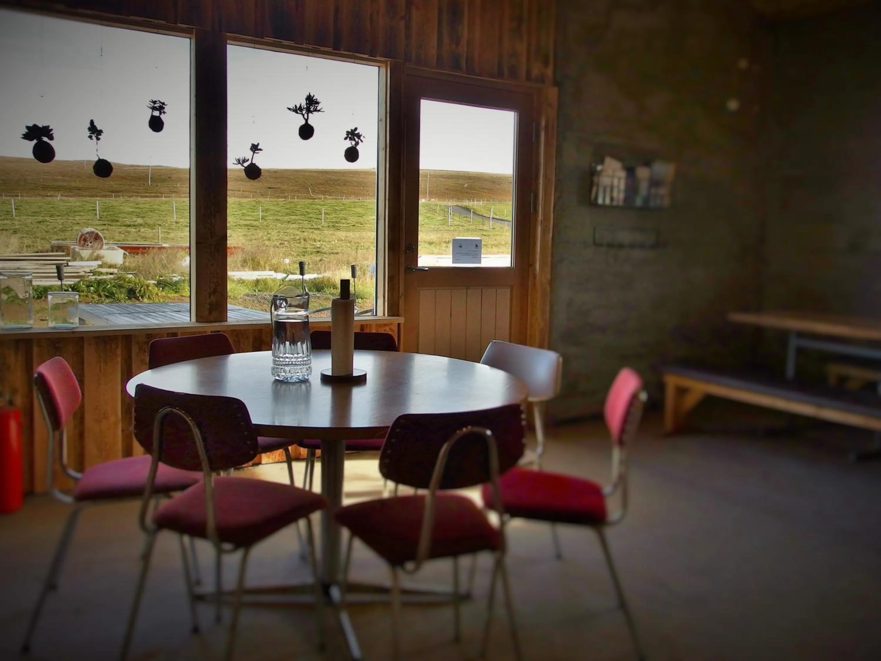 Restaurant/places to eat in Saltvík Farm Guesthouse