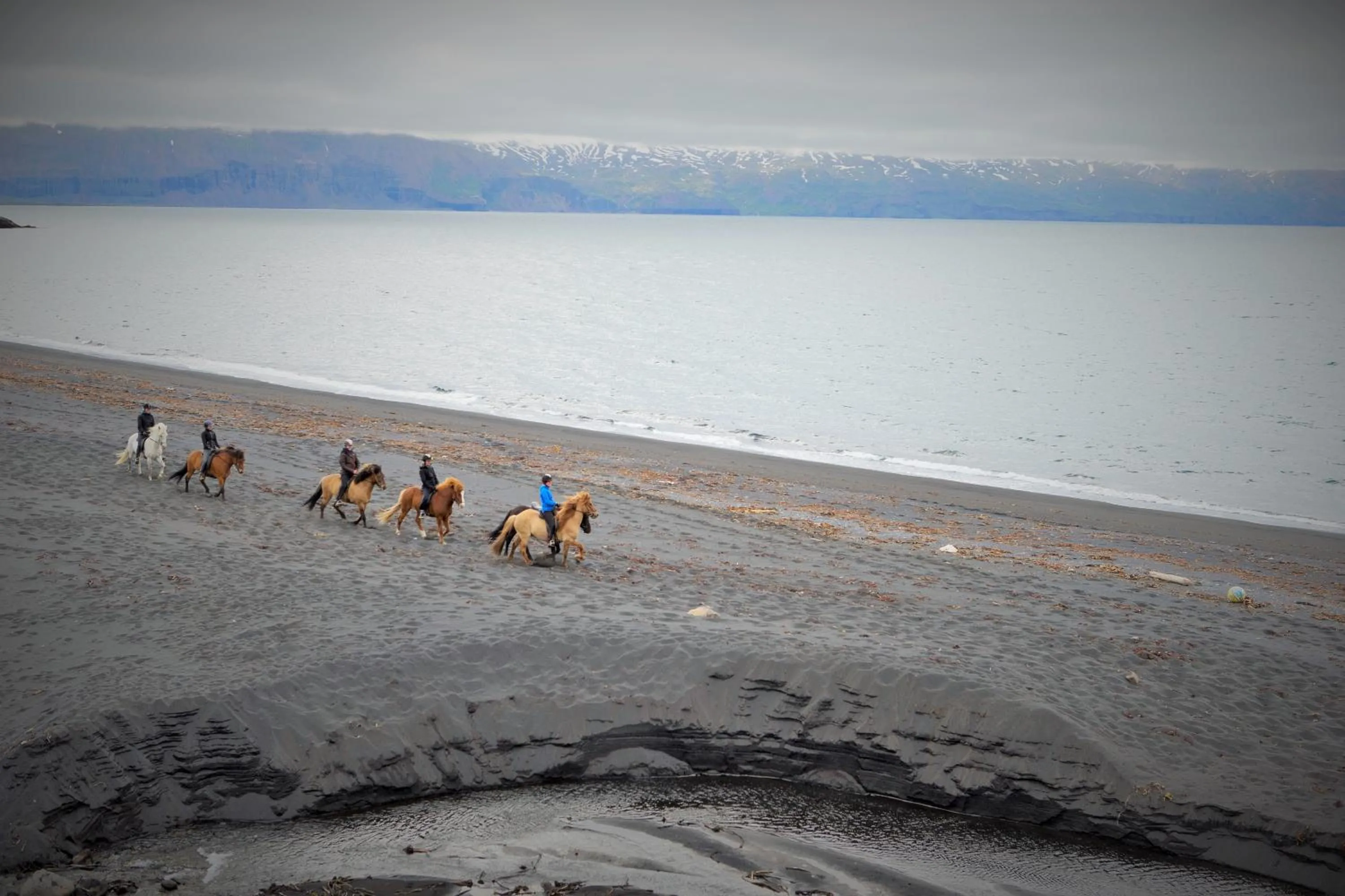 Horse-riding in Saltvík Farm Guesthouse