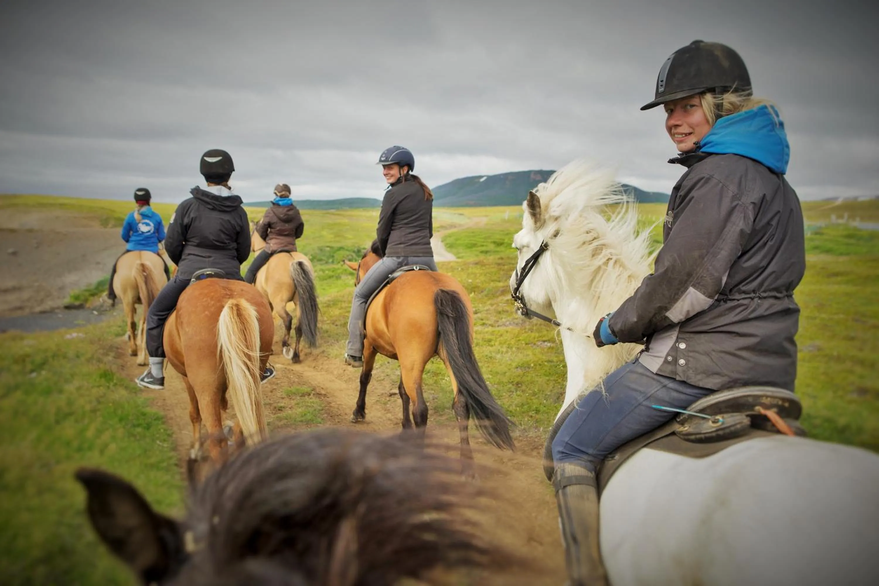 Horse-riding in Saltvík Farm Guesthouse