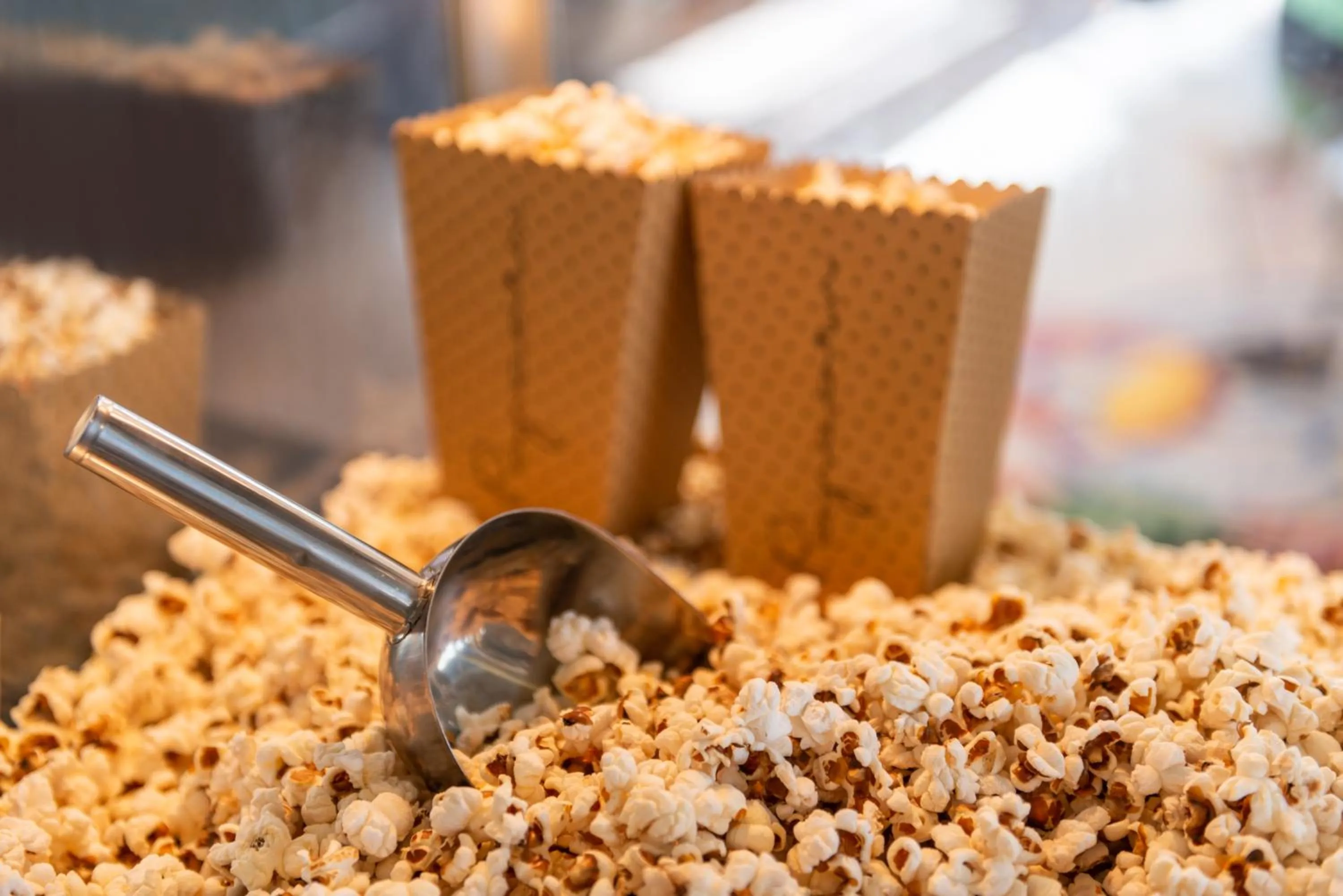 Activities in Hôtel Omnubo Collection