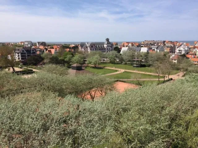 Villa DM