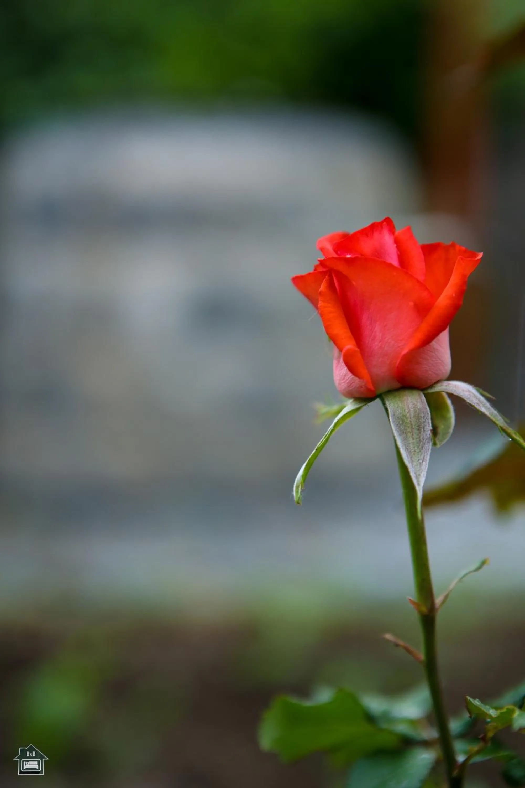 Guest House in Gyumri