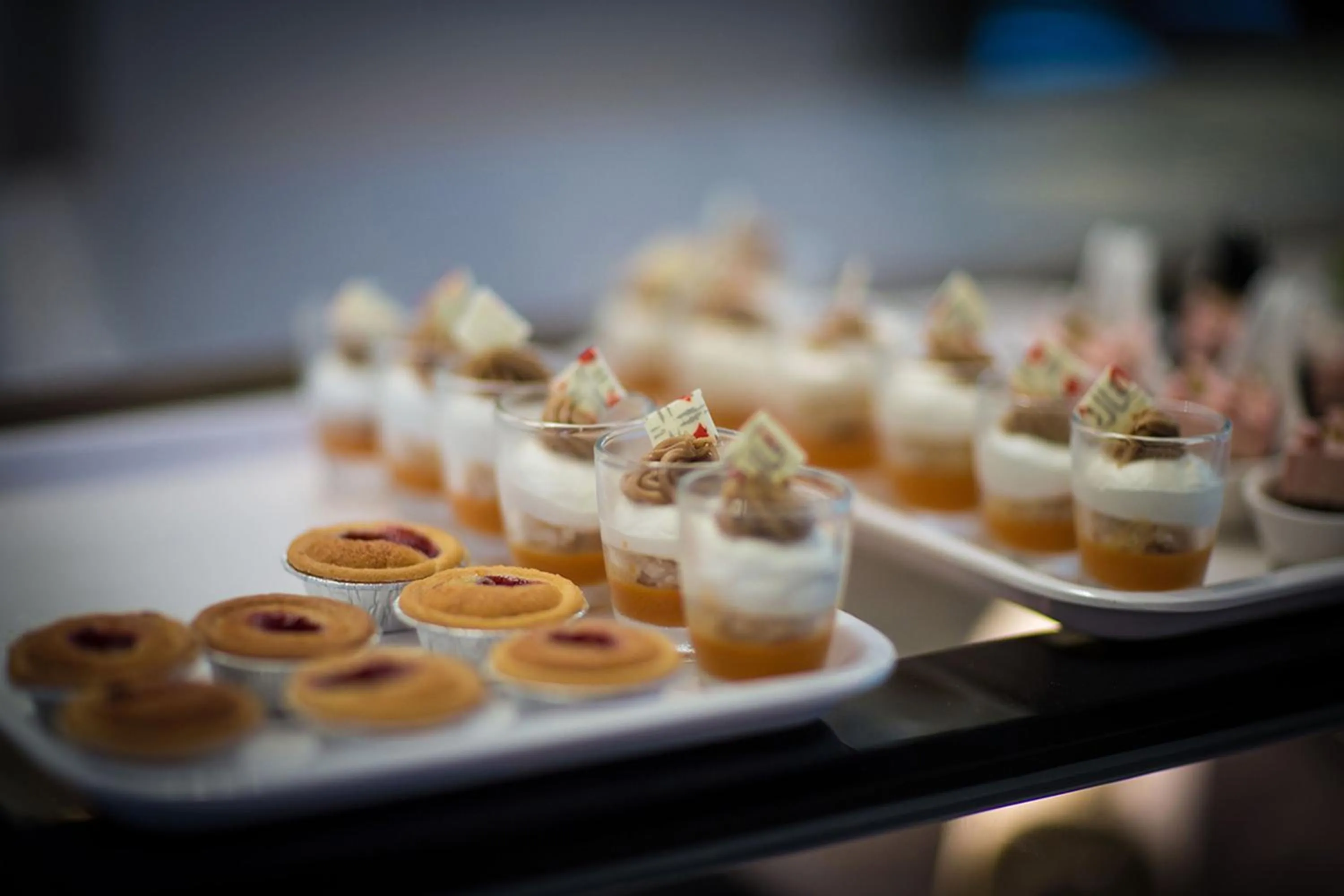 Banquet/Function facilities in Garden Villa