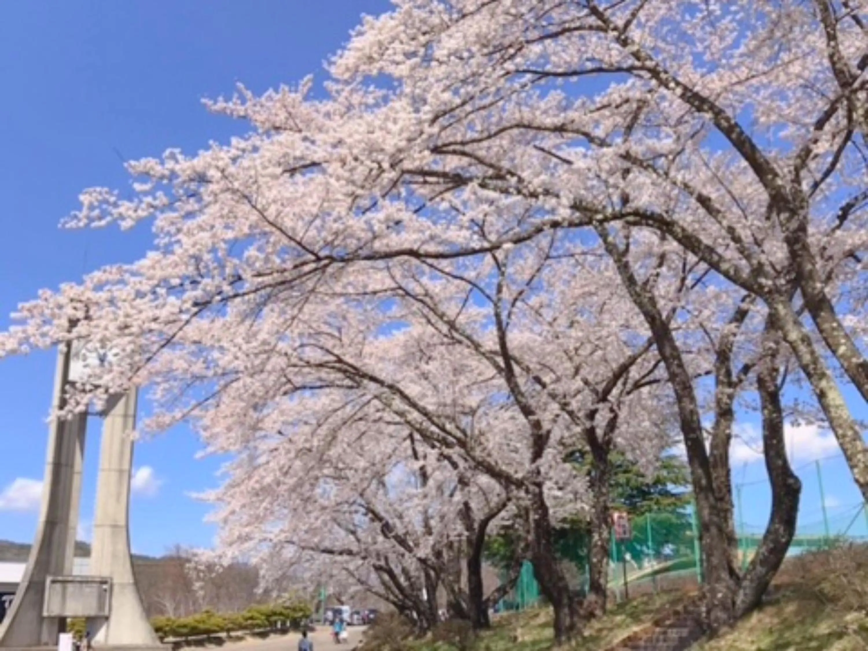 Nearby landmark in Shirakabako Hotel Paipuno Kemuri