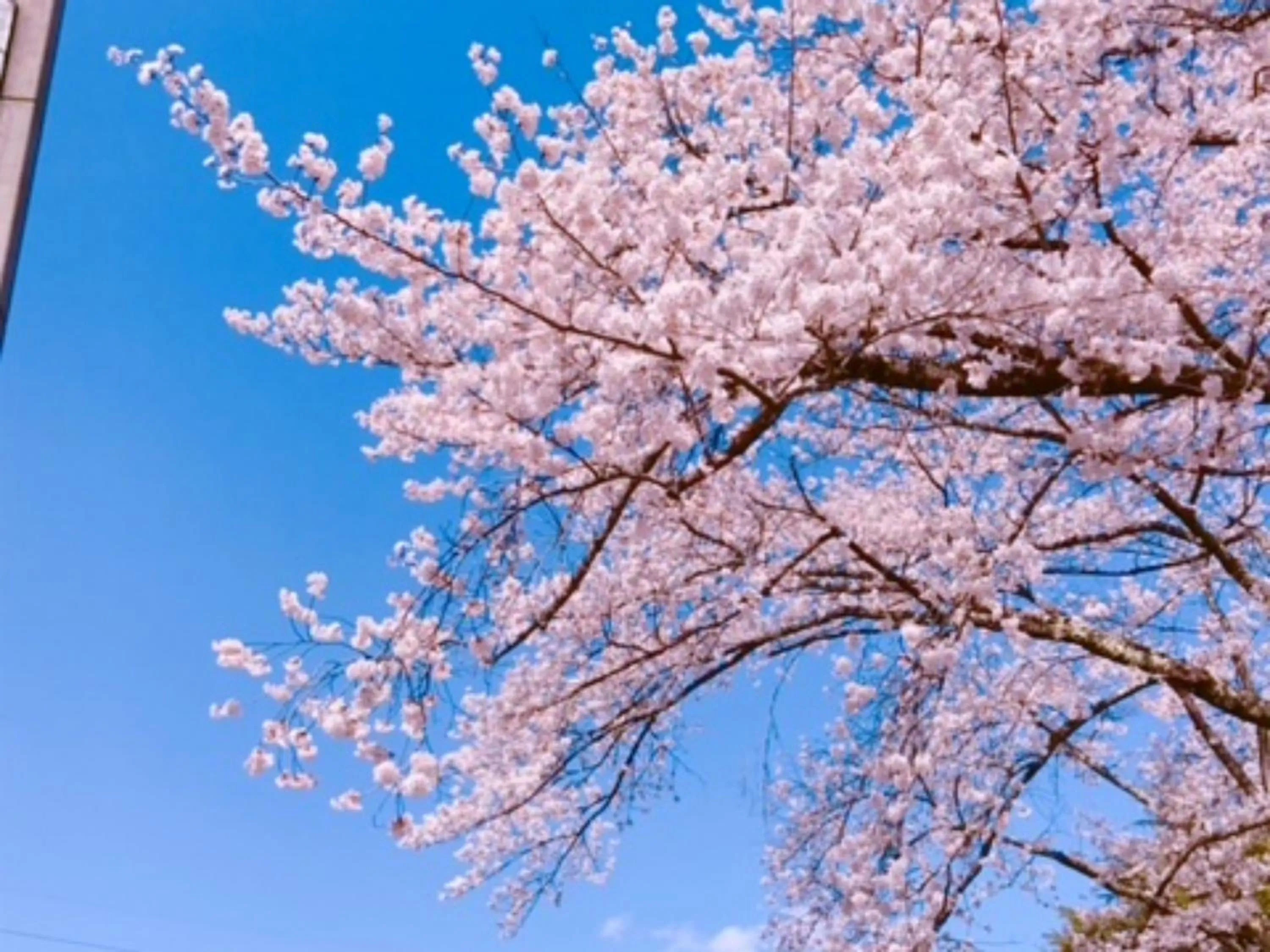 Nearby landmark in Shirakabako Hotel Paipuno Kemuri