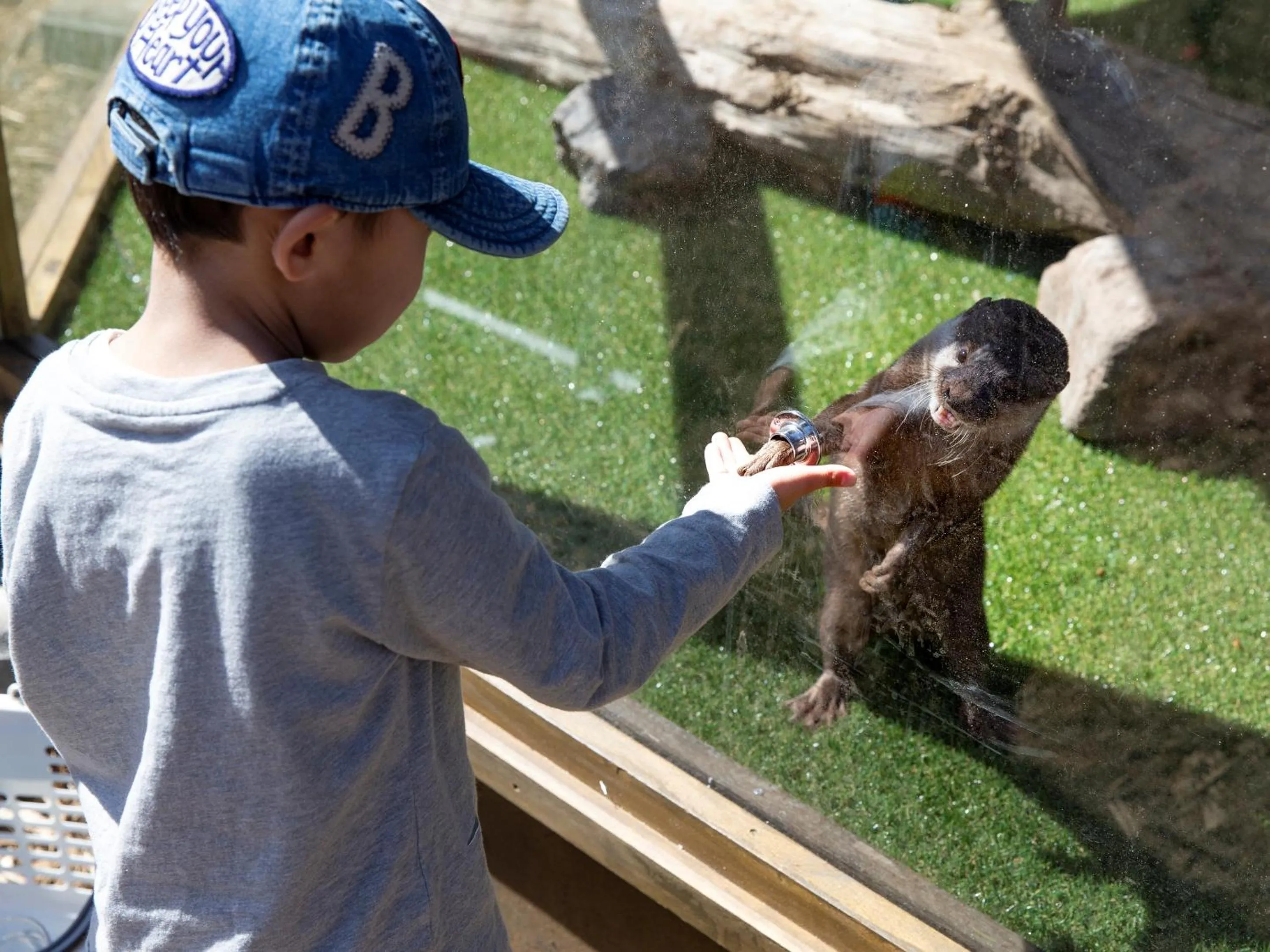 Nearby landmark in Shirakabako Hotel Paipuno Kemuri