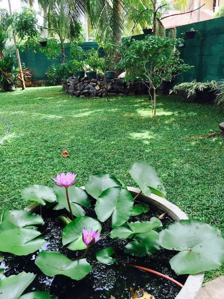 Garden in House of Seya