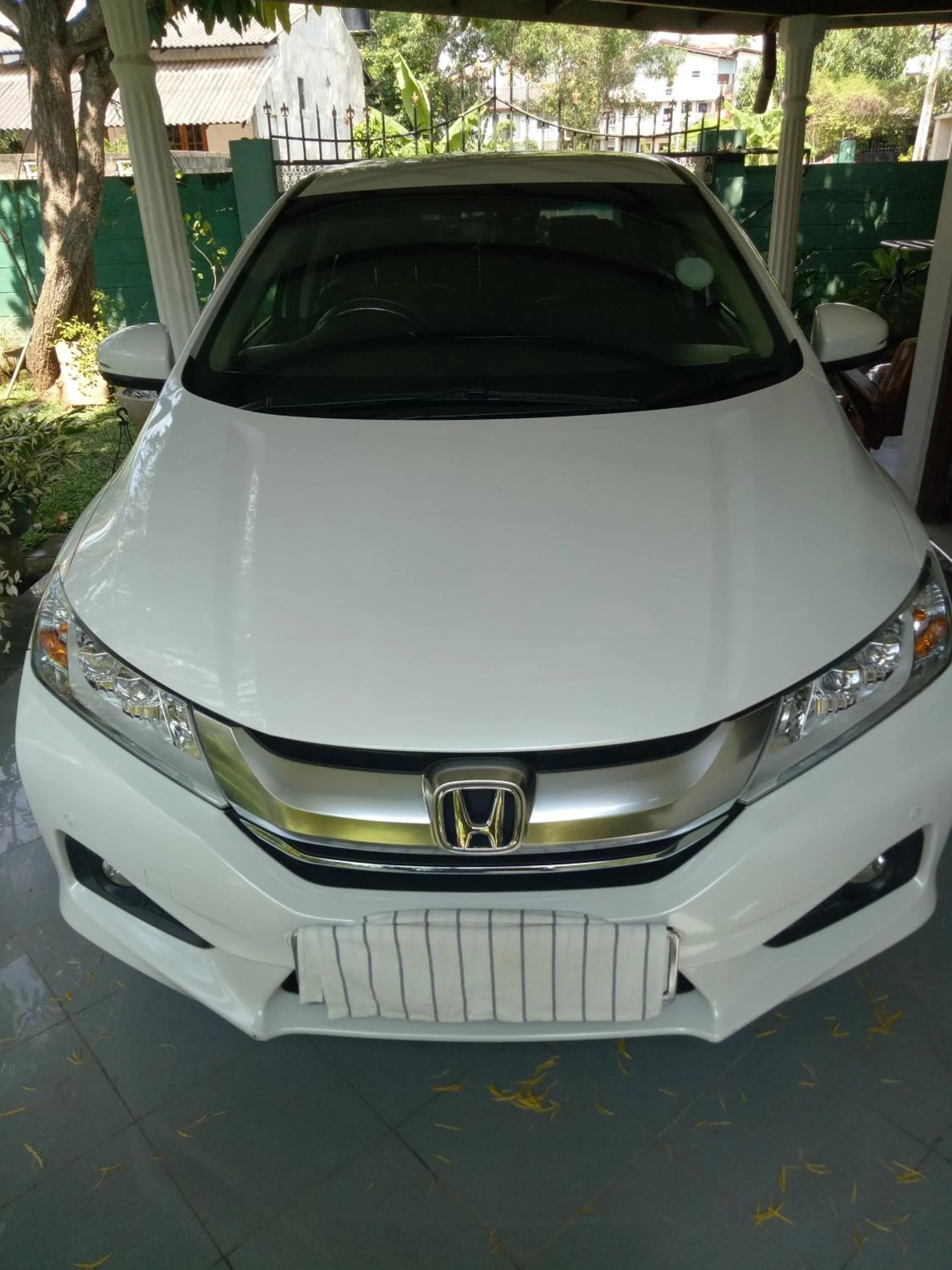 Other in House of Seya