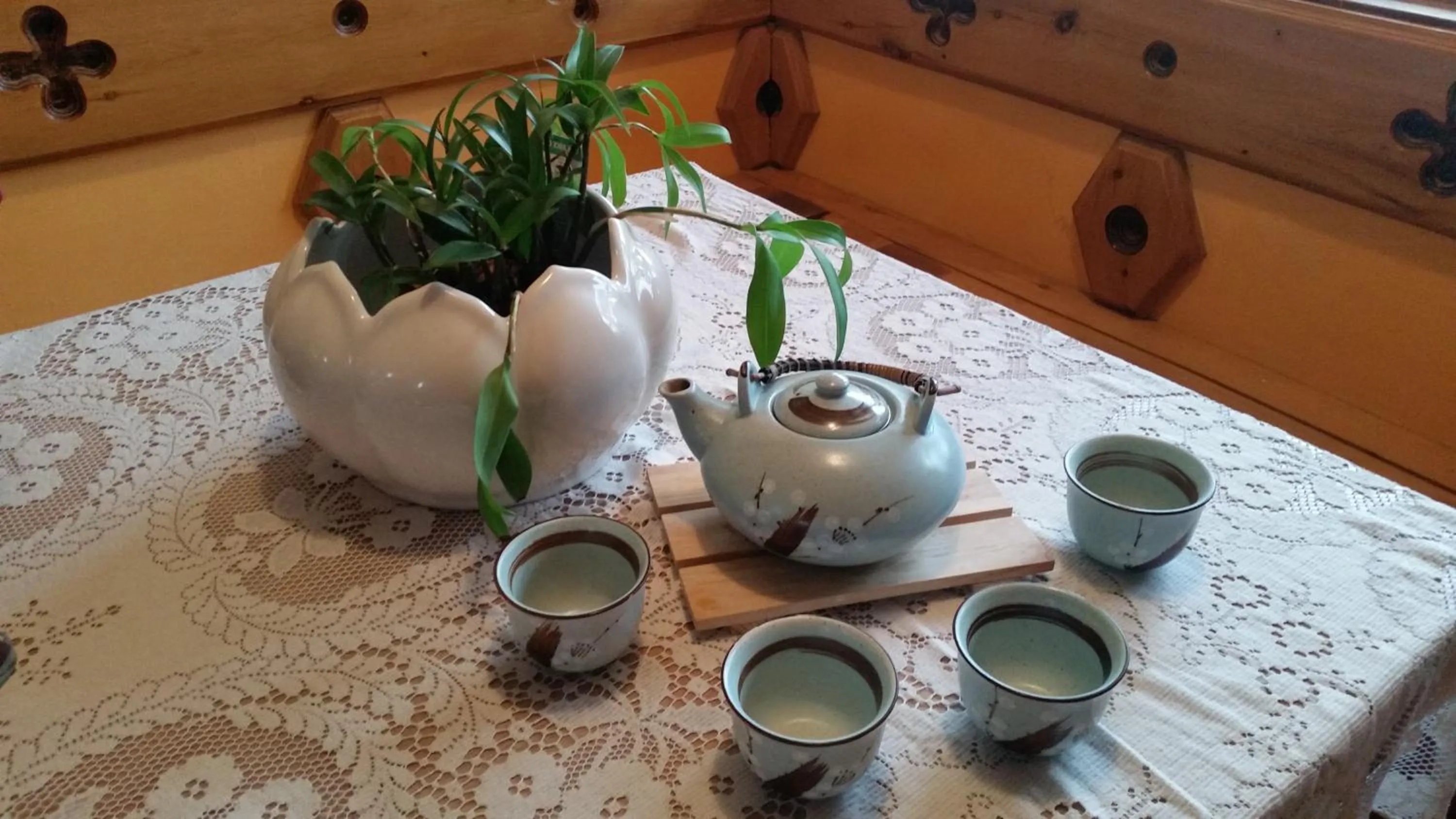 Communal kitchen in Sonja's Bed and Breakfast