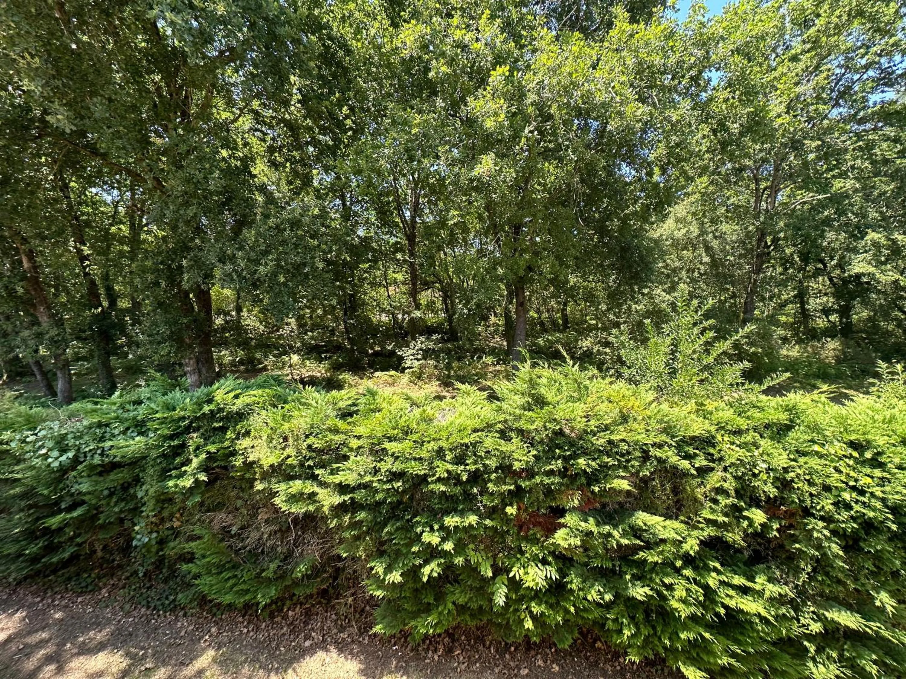 Natural landscape in Résidence Mes Amours d'Enfants - Les Villas du Lac