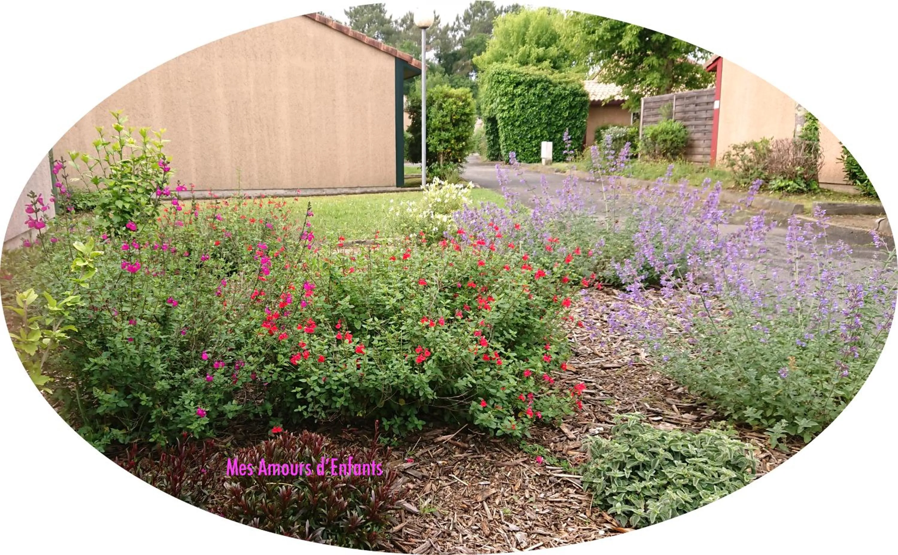 Spring in Résidence Mes Amours d'Enfants - Les Villas du Lac