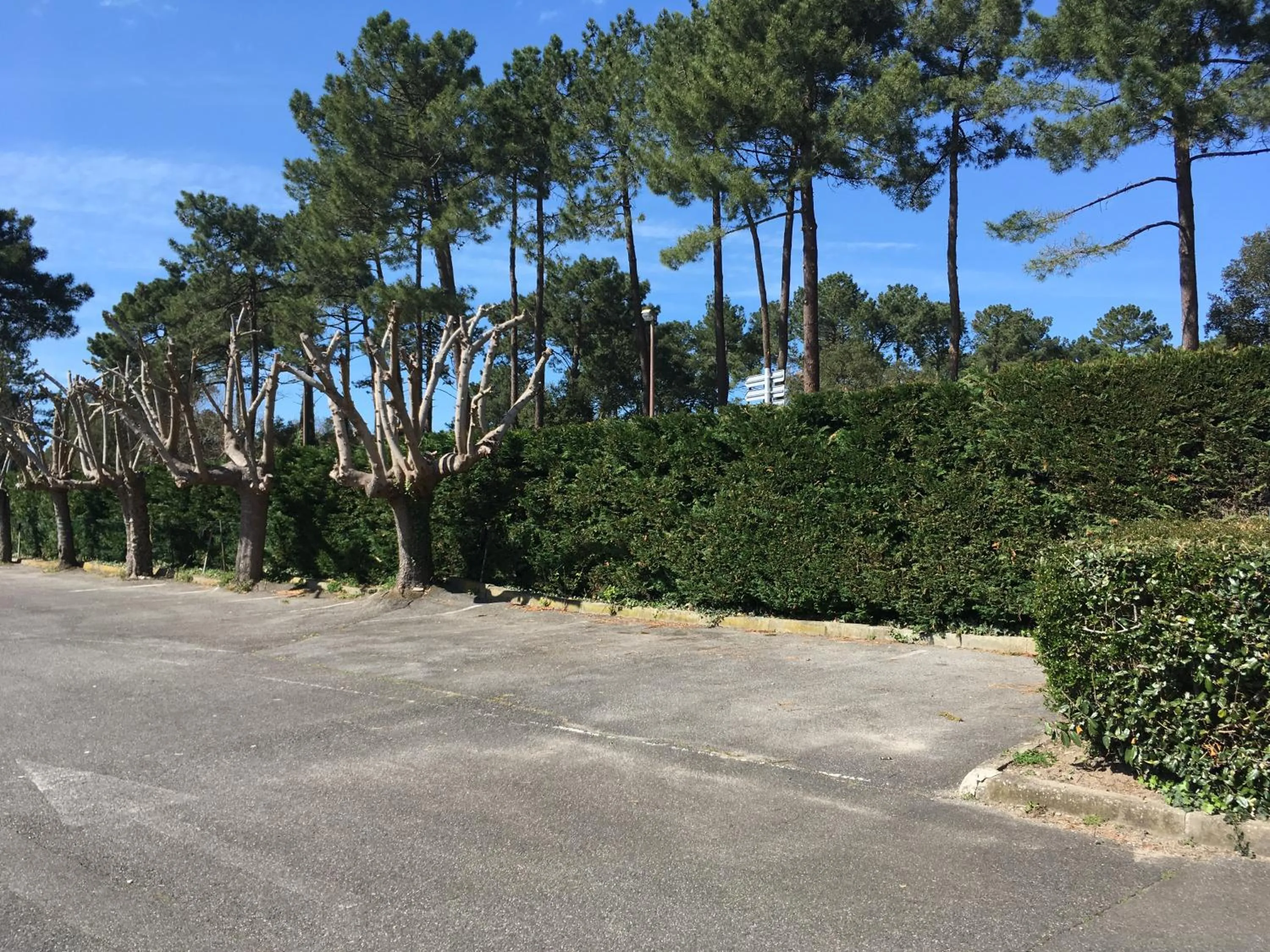 Staff in Résidence Mes Amours d'Enfants - Les Villas du Lac