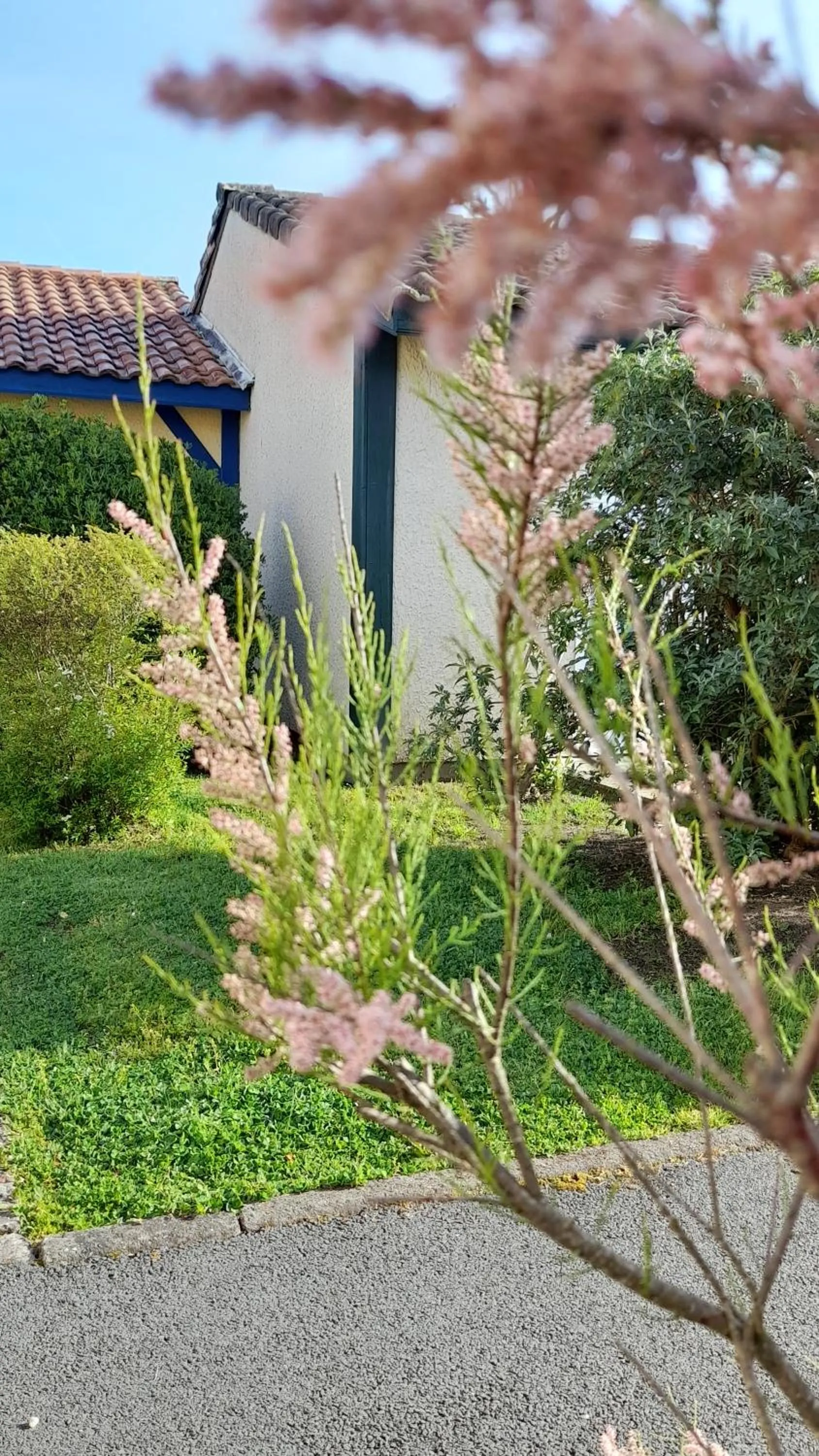 Spring in Résidence Mes Amours d'Enfants - Les Villas du Lac