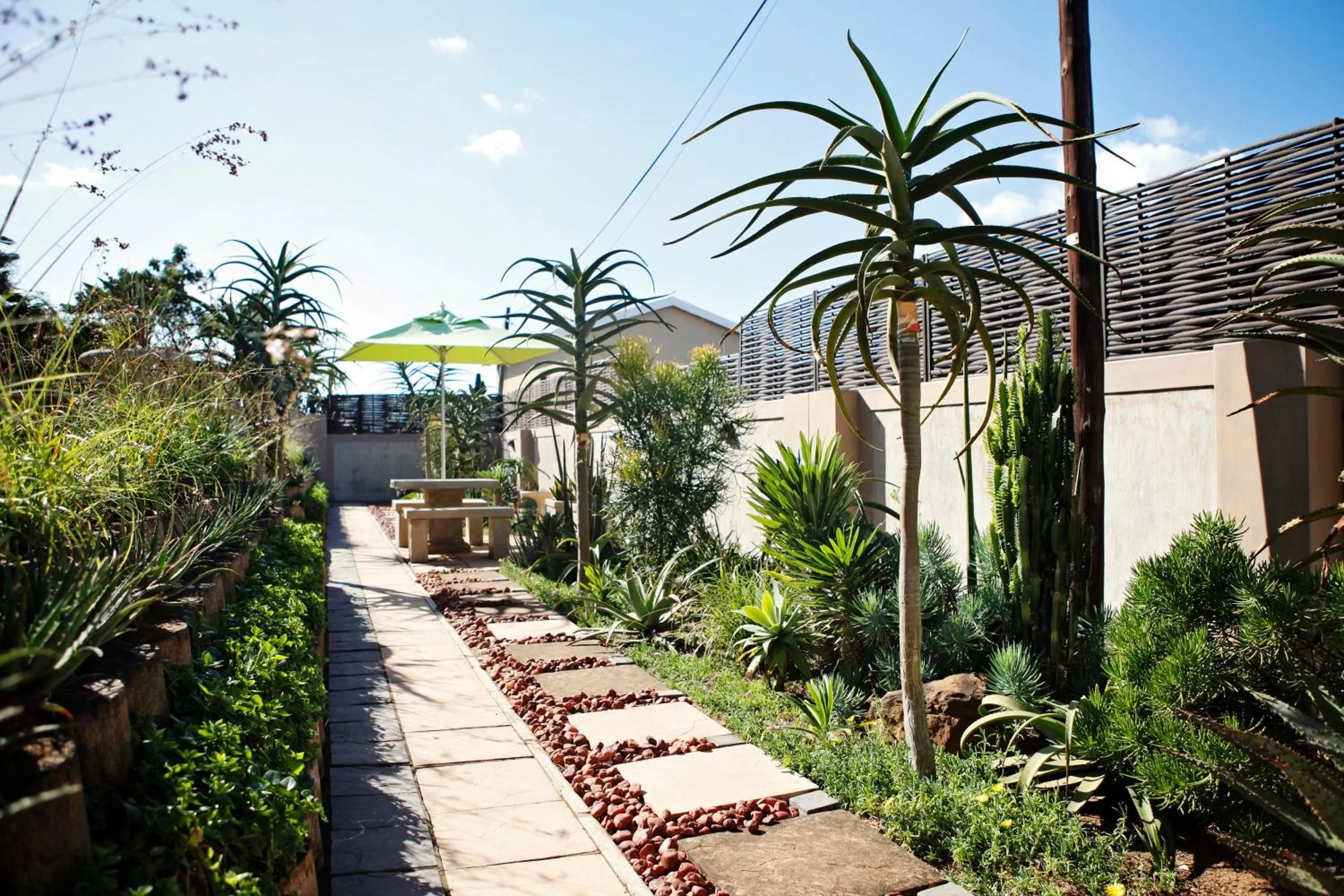 Garden in Aloes No.21
