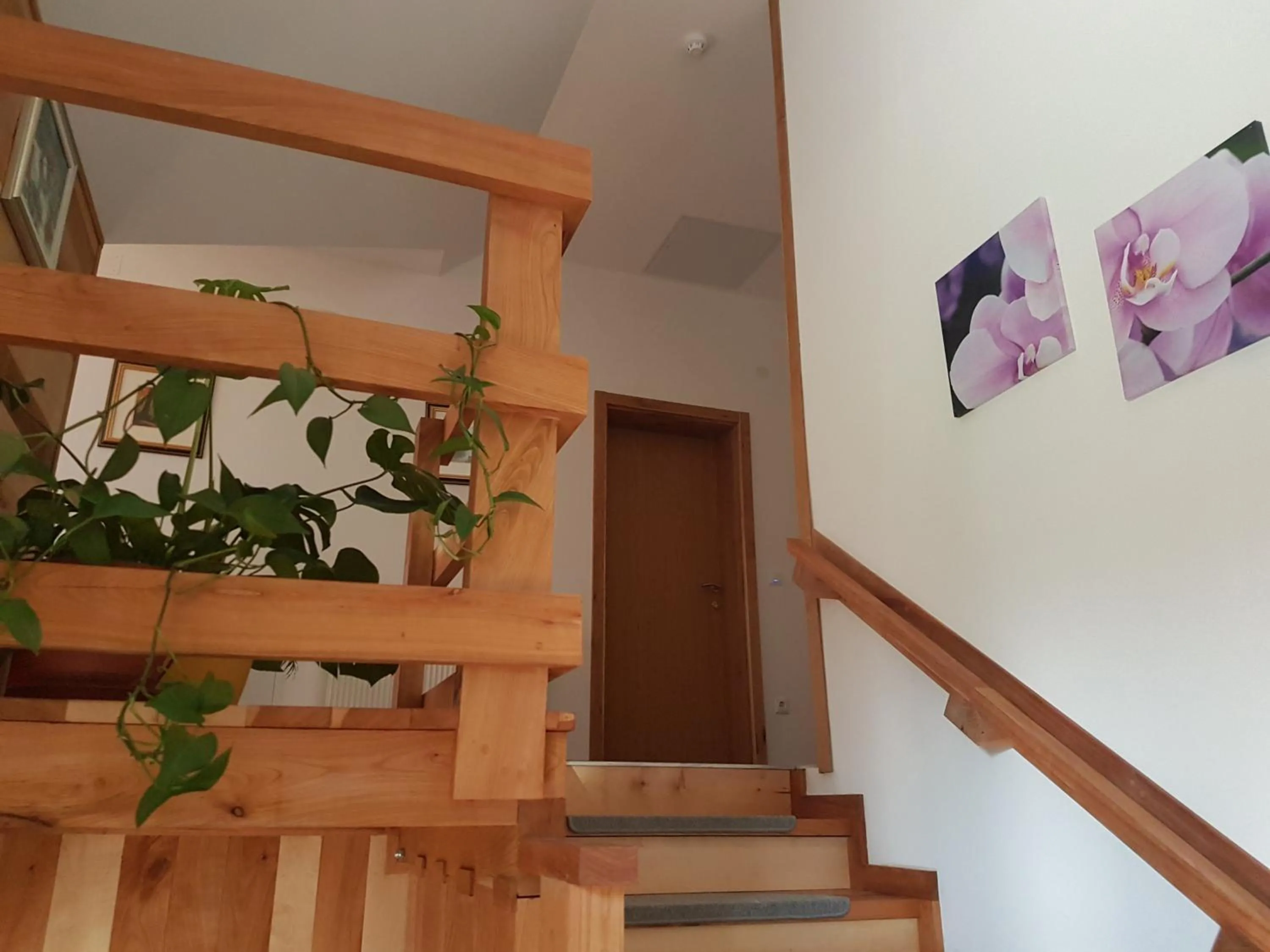 Facade/entrance in Villa Stone