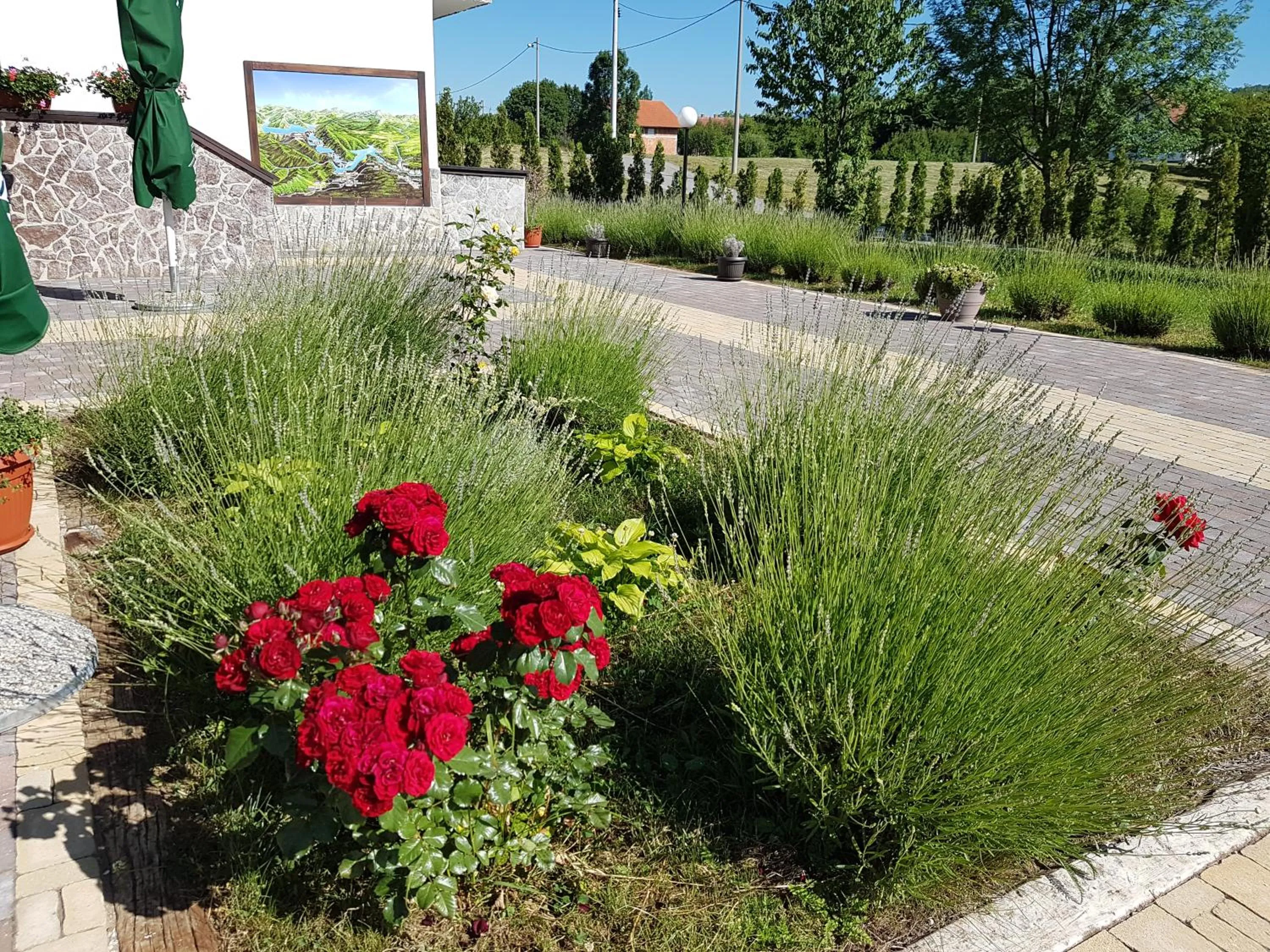 Garden in Villa Stone