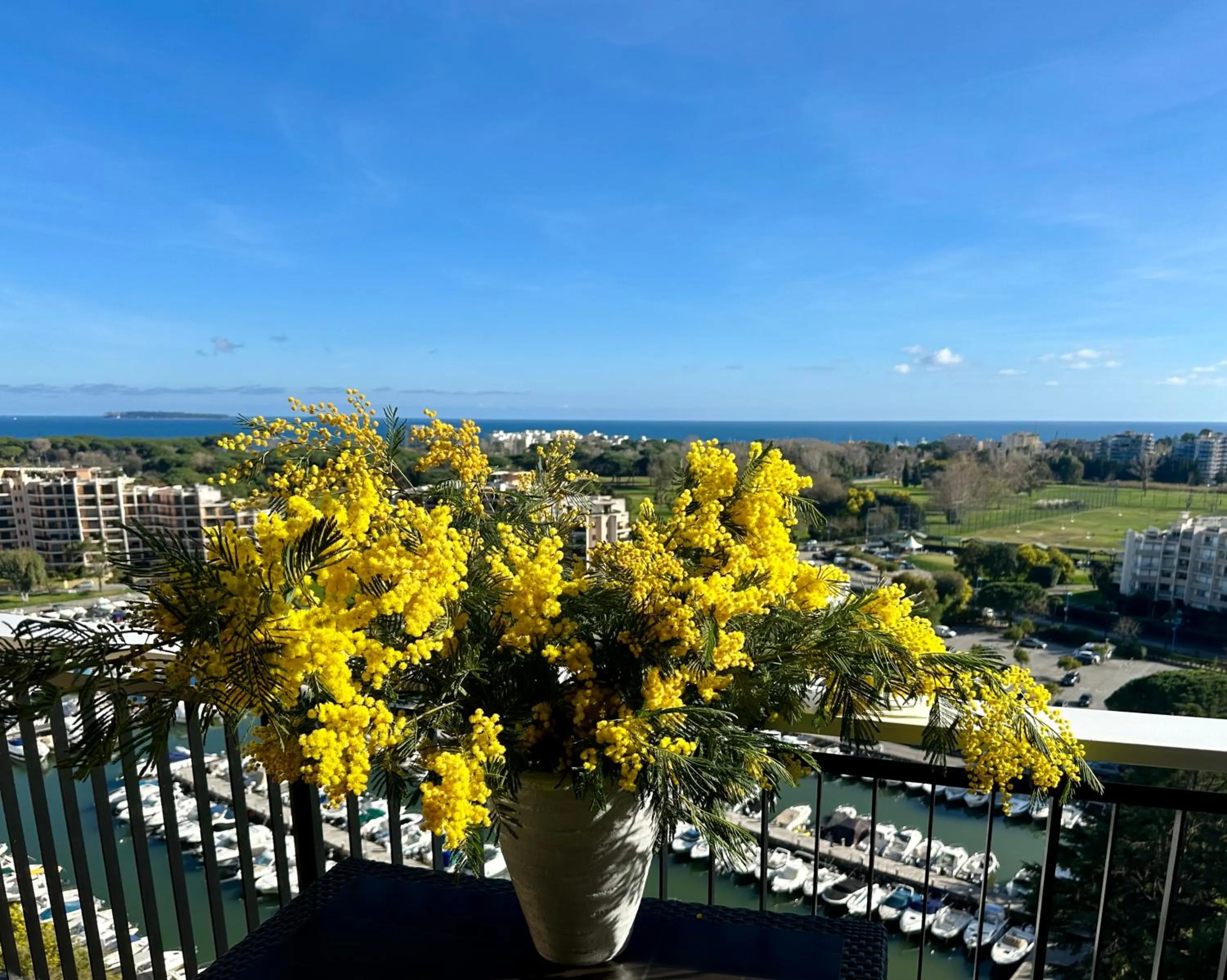 Cannes Marina Appart Hotel Mandelieu