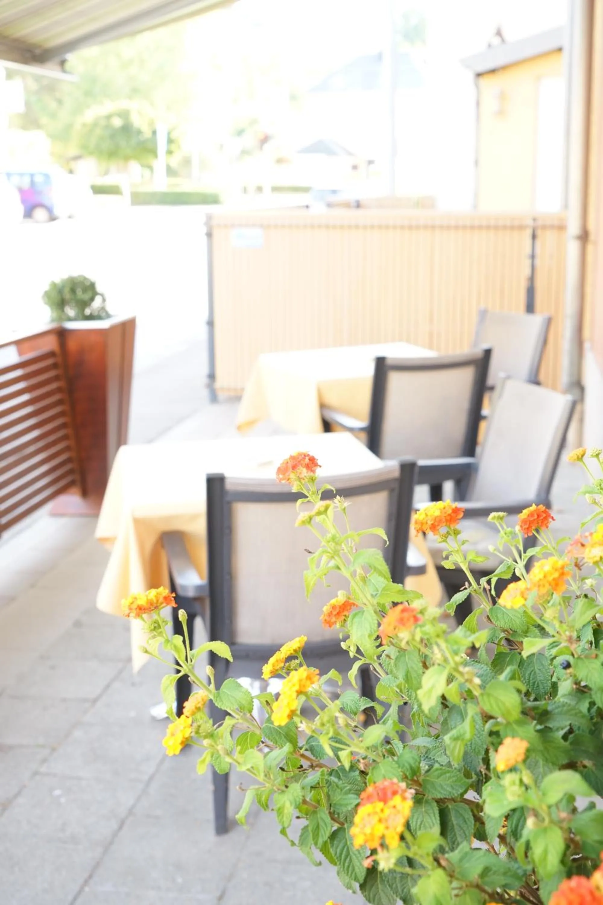 Balcony/Terrace in Weidendall