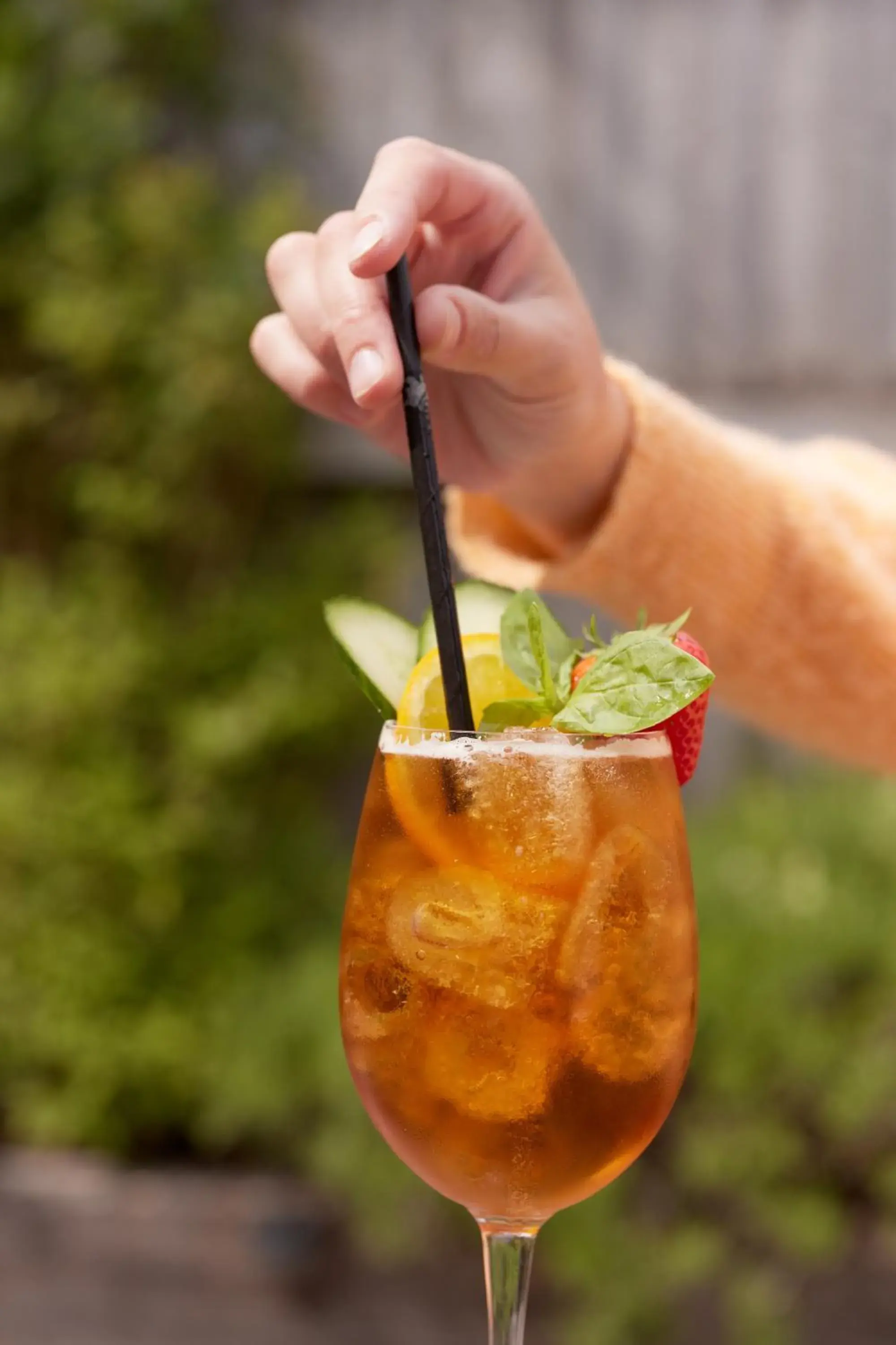 Food and drinks in The Dog & Gun Inn Food and drinks in The Dog & Gun Inn