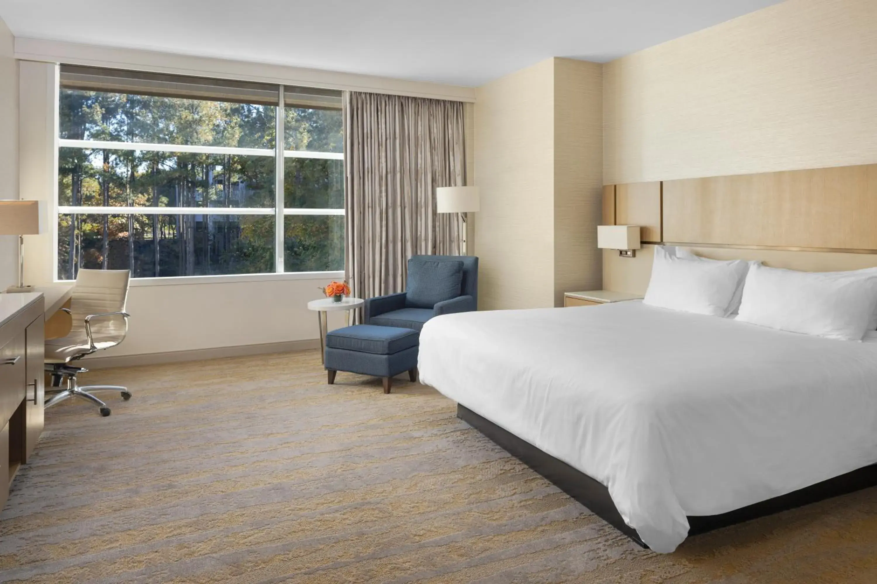 Bedroom, Bed in JB Duke Hotel Bedroom, Bed in JB Duke Hotel