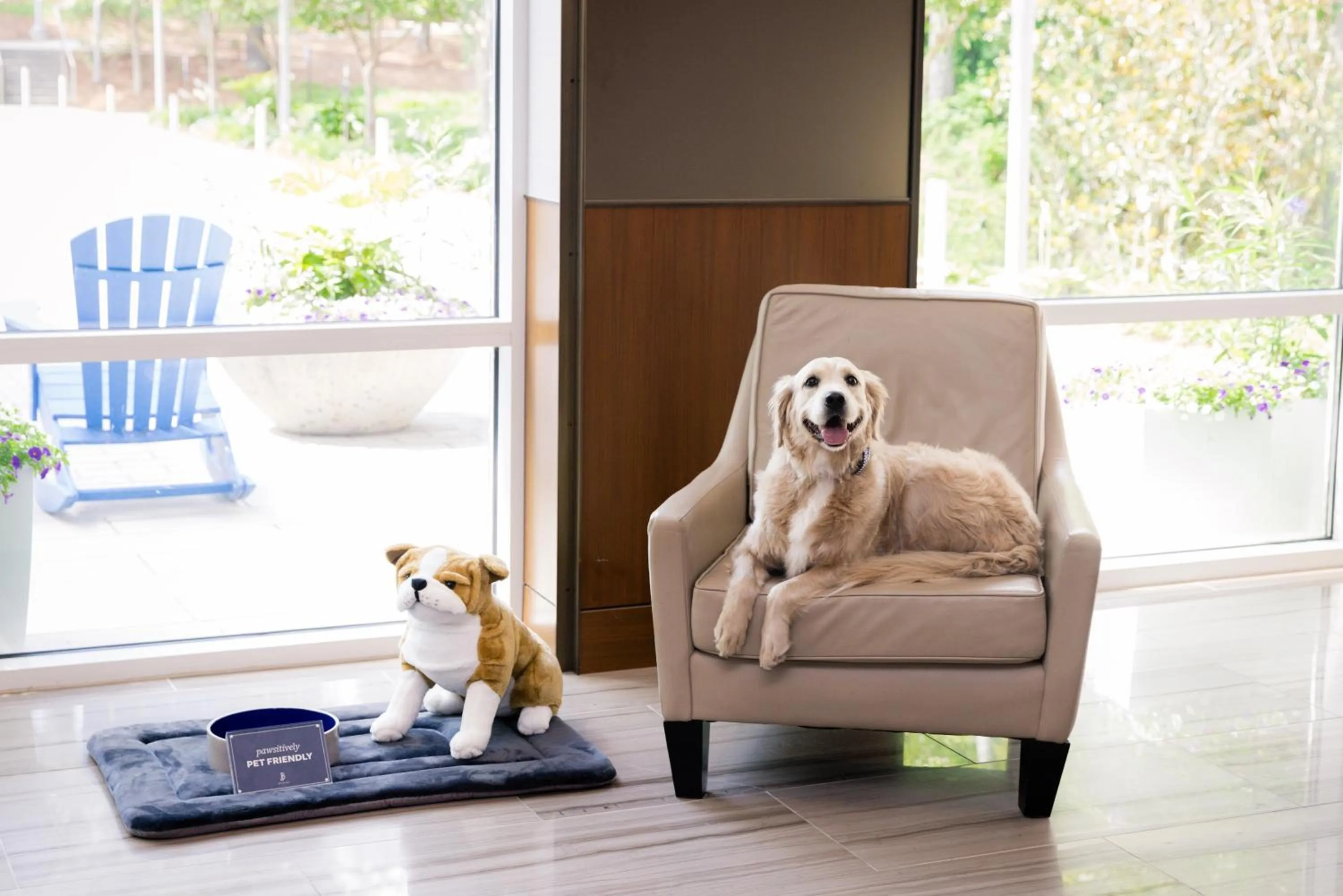 pet friendly in JB Duke Hotel