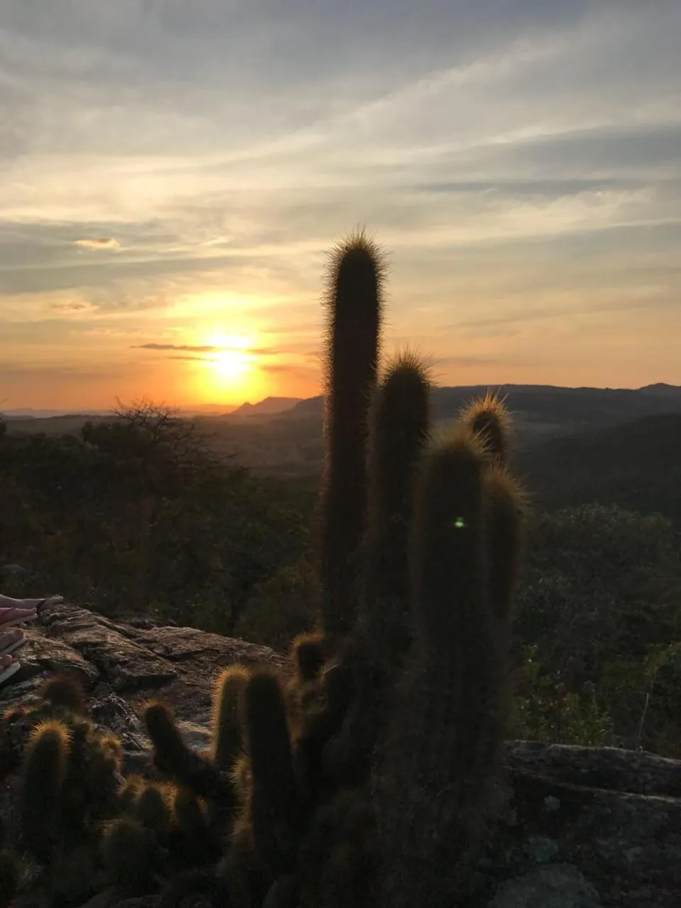 Garden view in Pousada Recanto das Pedras São Leopoldo