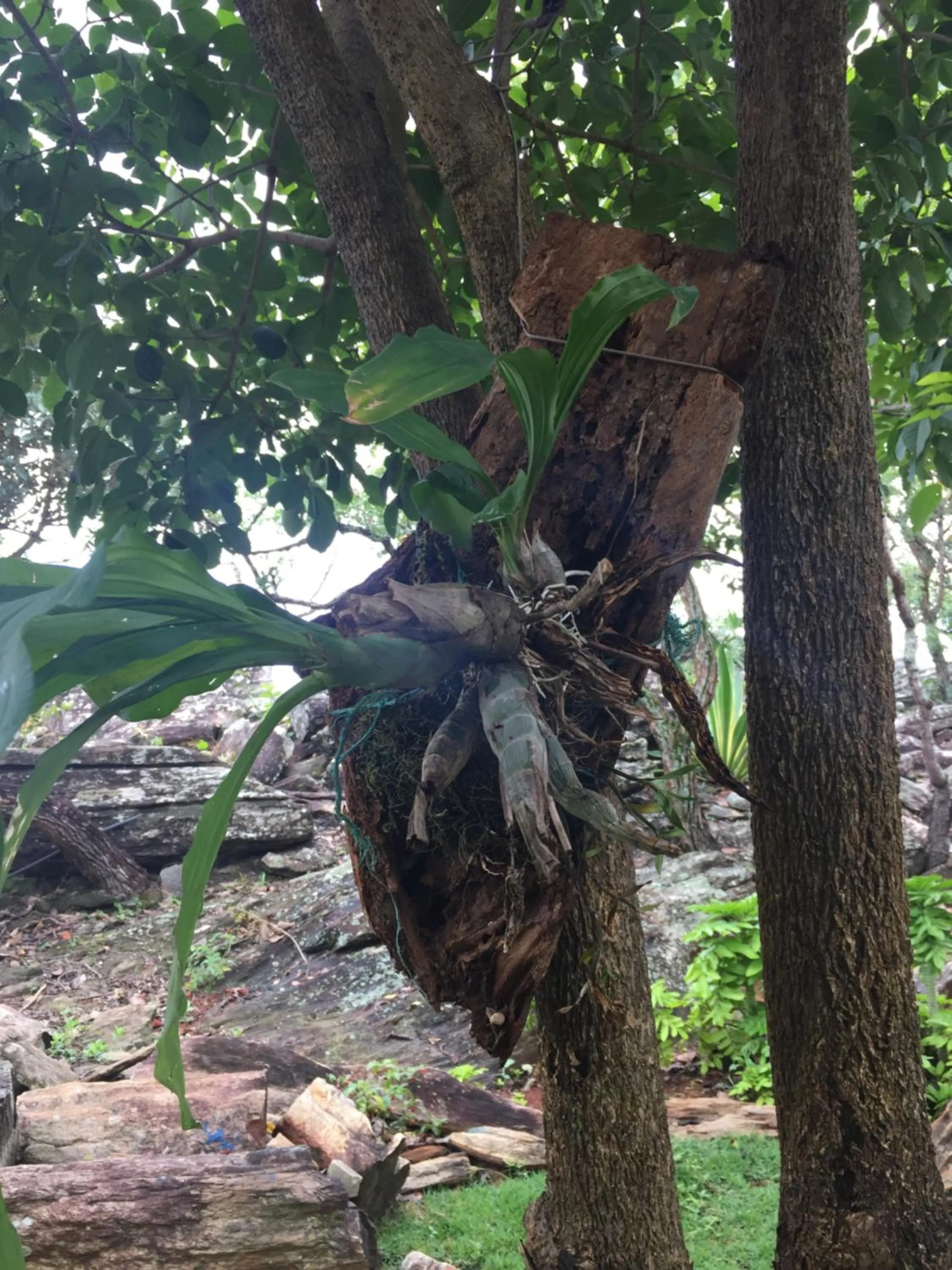 Decorative detail in Pousada Recanto das Pedras São Leopoldo