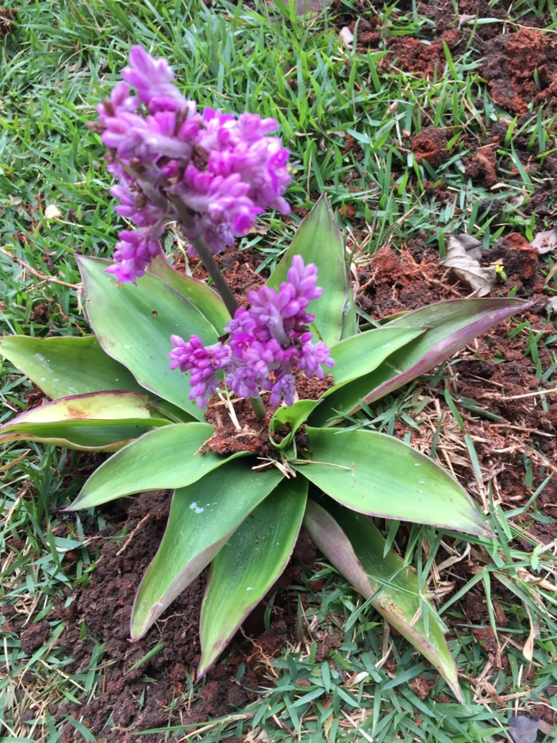 Decorative detail in Pousada Recanto das Pedras São Leopoldo