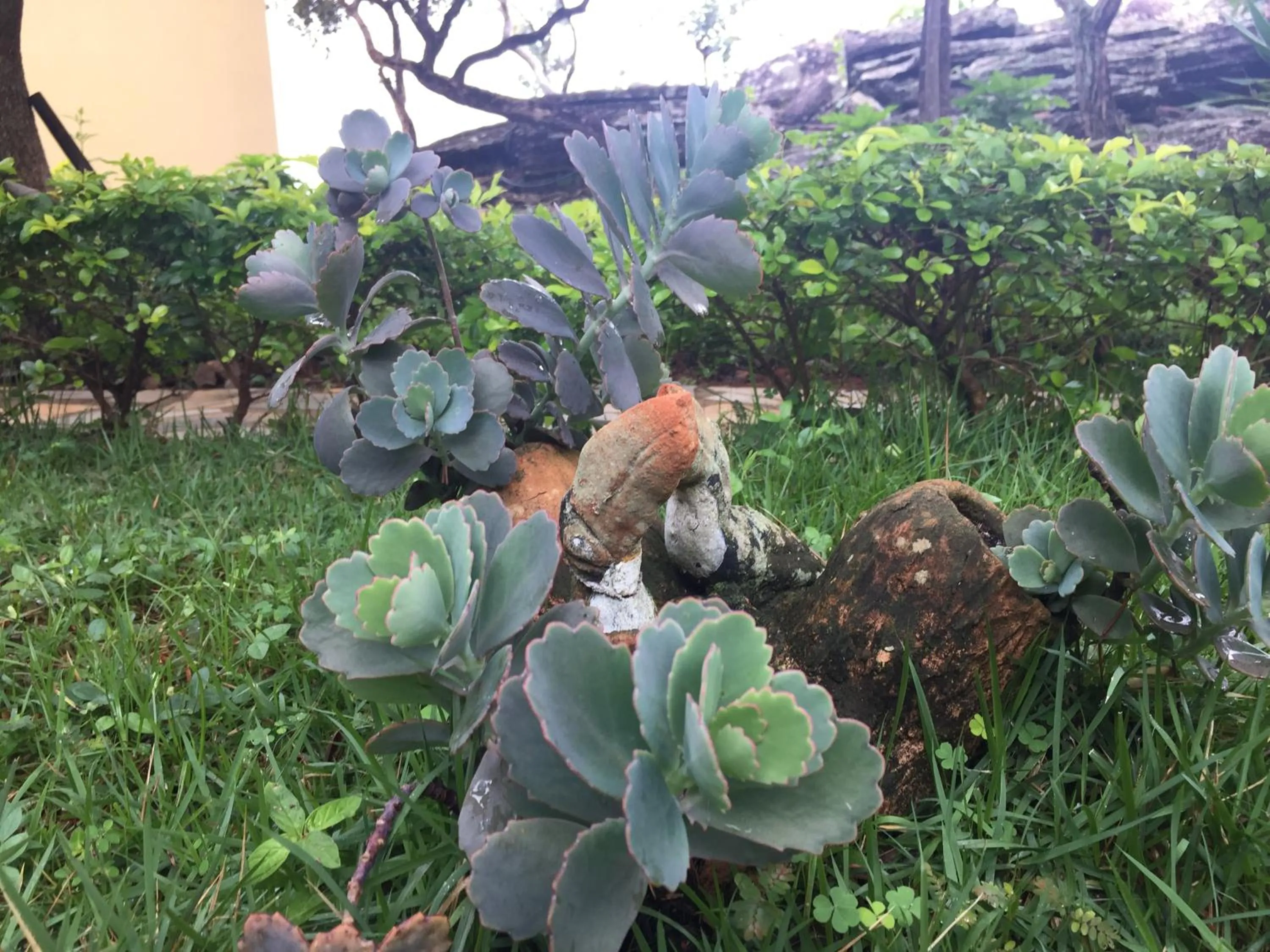 Decorative detail in Pousada Recanto das Pedras São Leopoldo