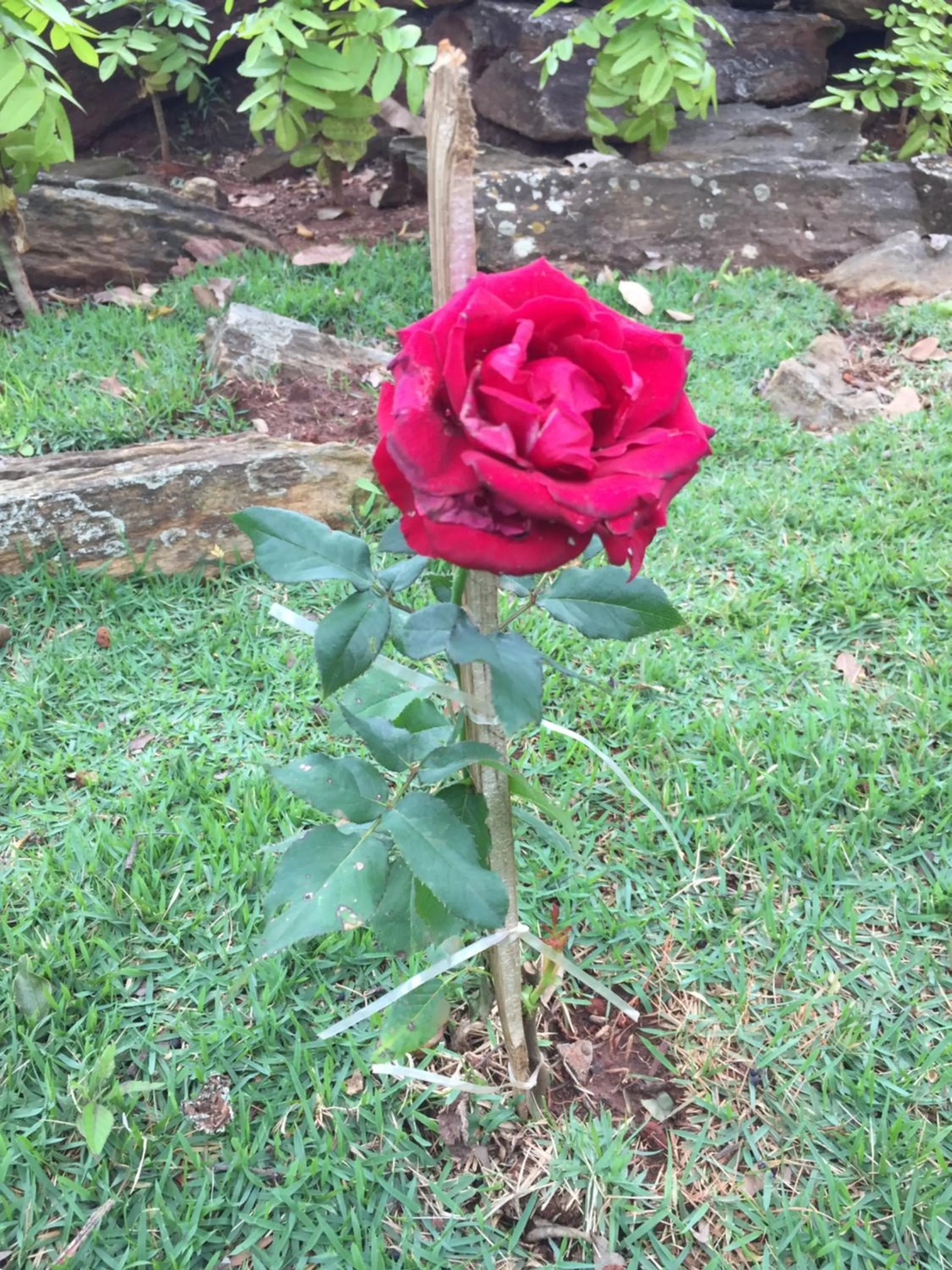 Decorative detail in Pousada Recanto das Pedras São Leopoldo